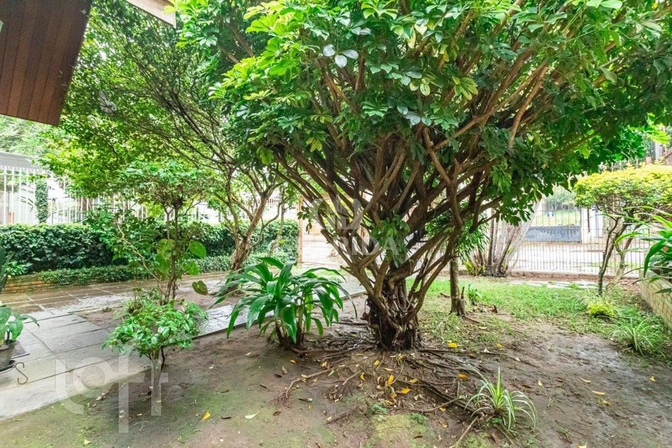 Imagem da propriedade 41