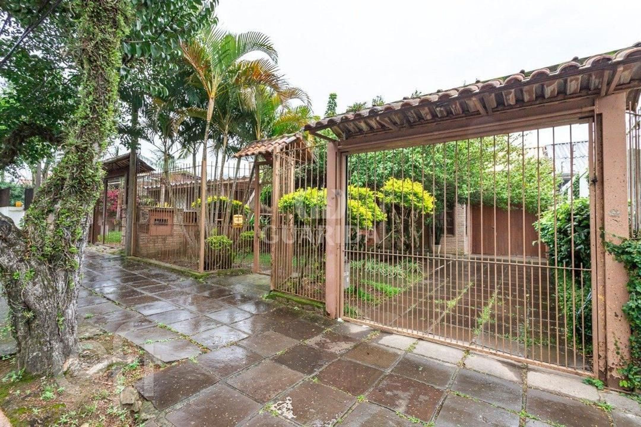 Imagem da propriedade 46