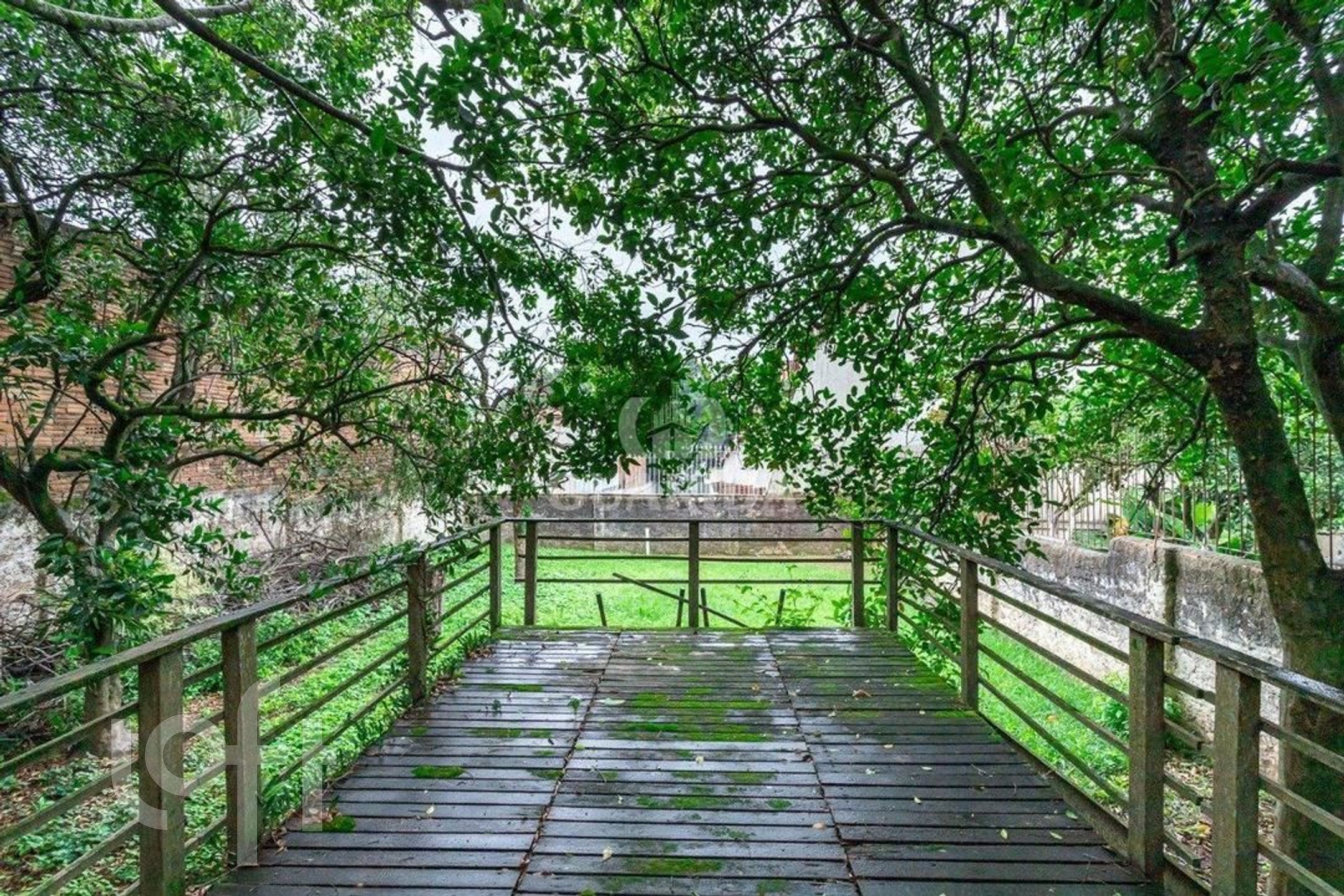 Imagem da propriedade 36