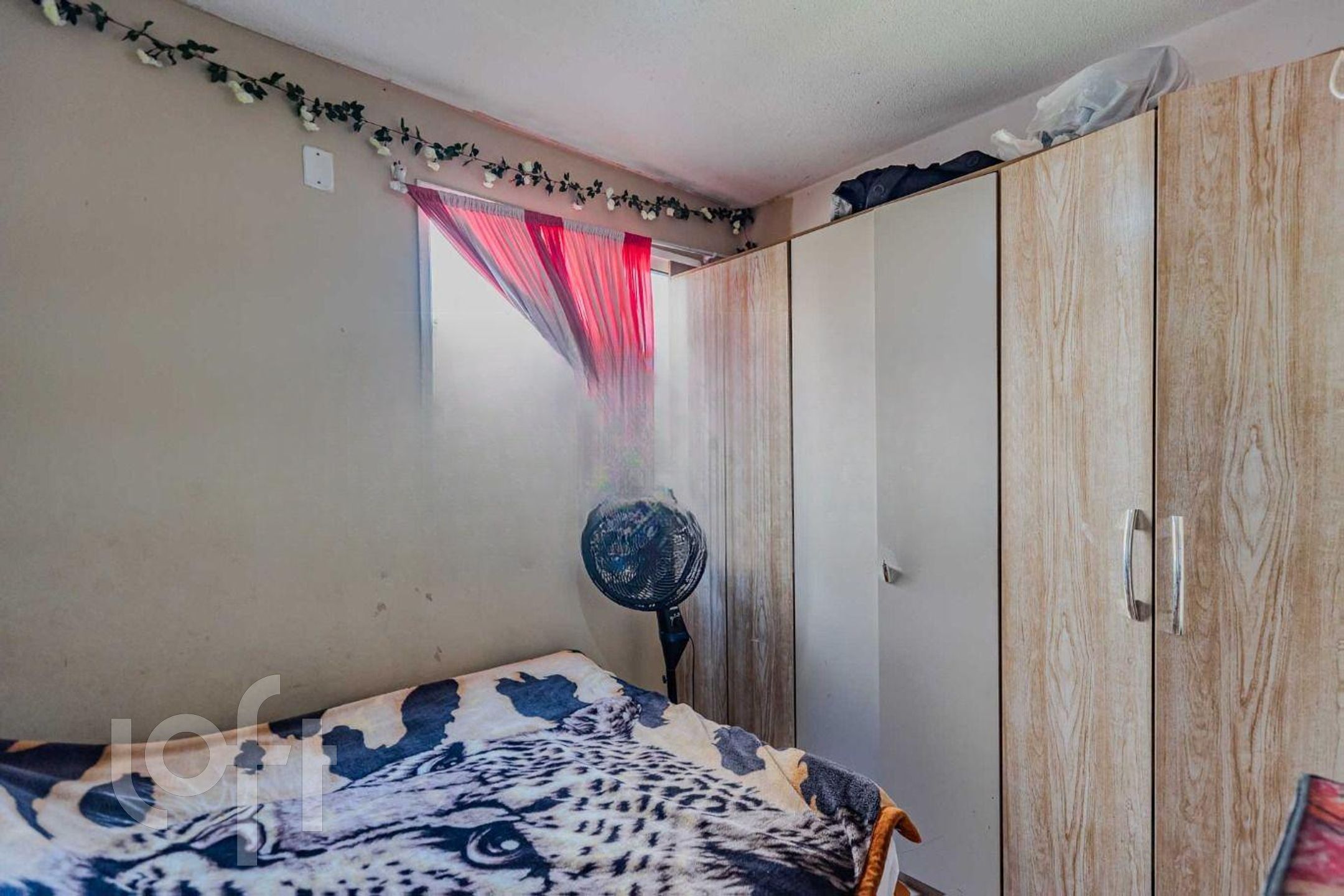 Imagem da propriedade 11