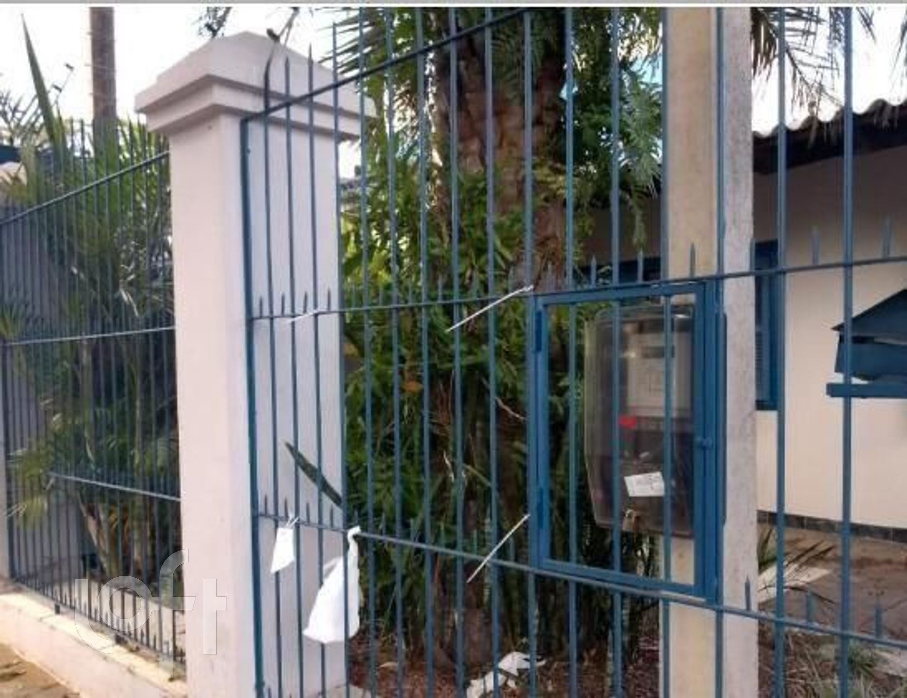 Imagem da propriedade 11