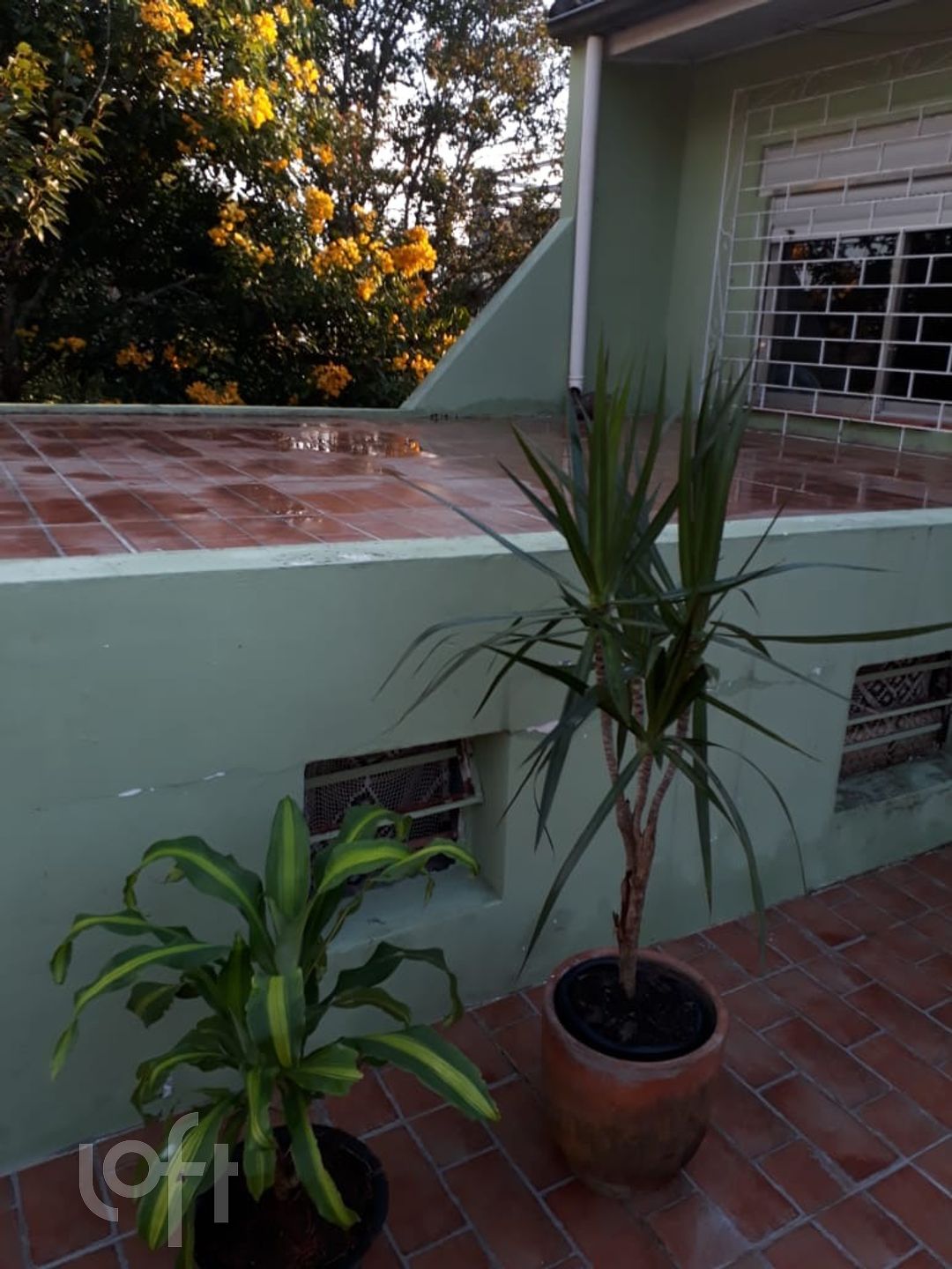 Imagem da propriedade 8