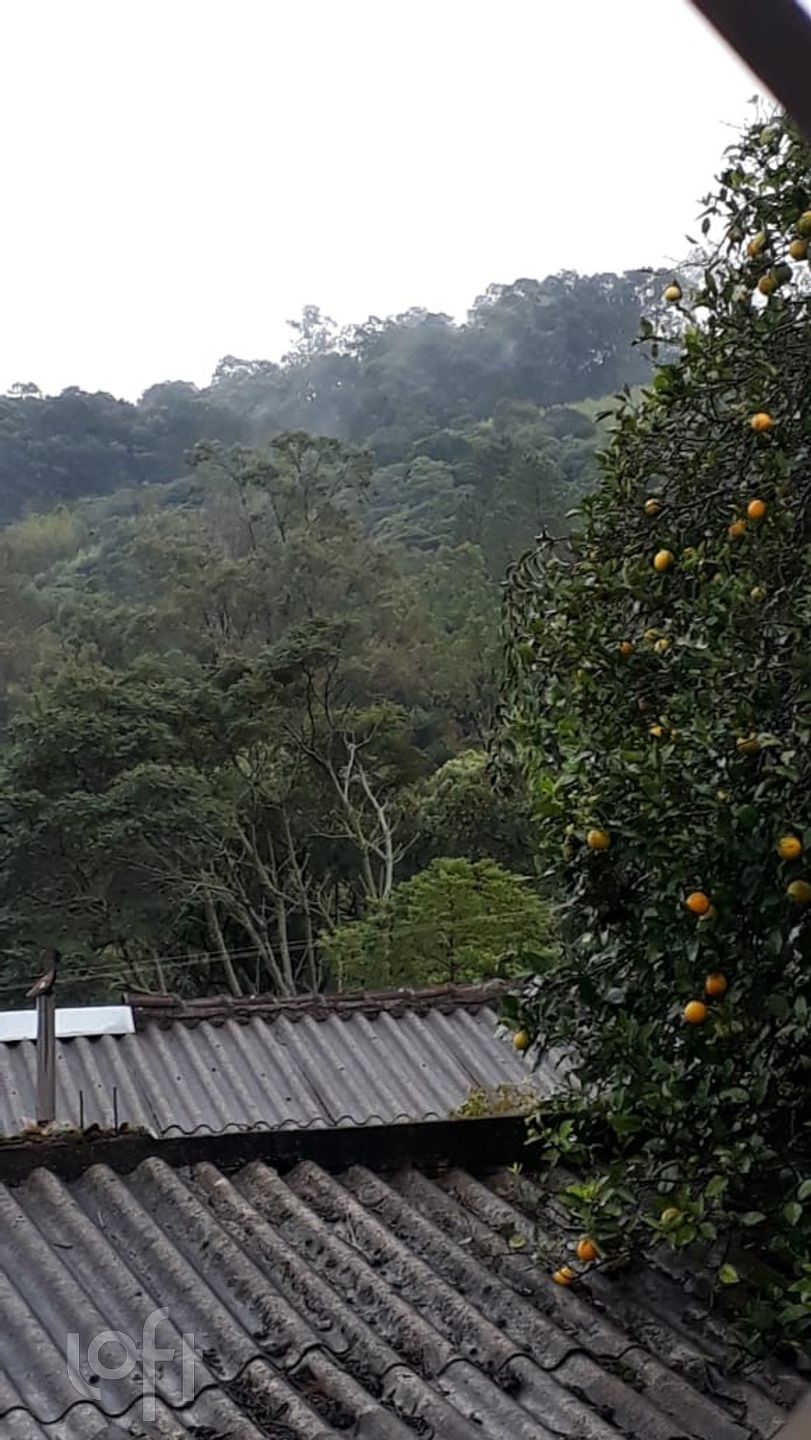 Imagem da propriedade 11