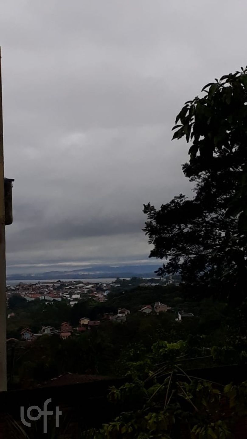 Imagem da propriedade 12