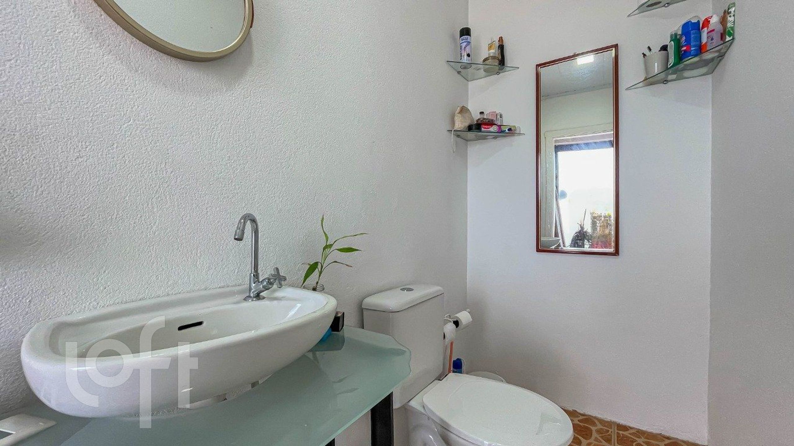 Imagem da propriedade 33