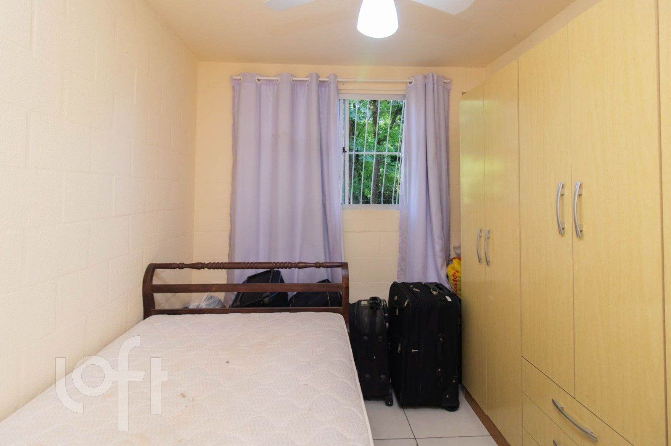 Imagem da propriedade 3