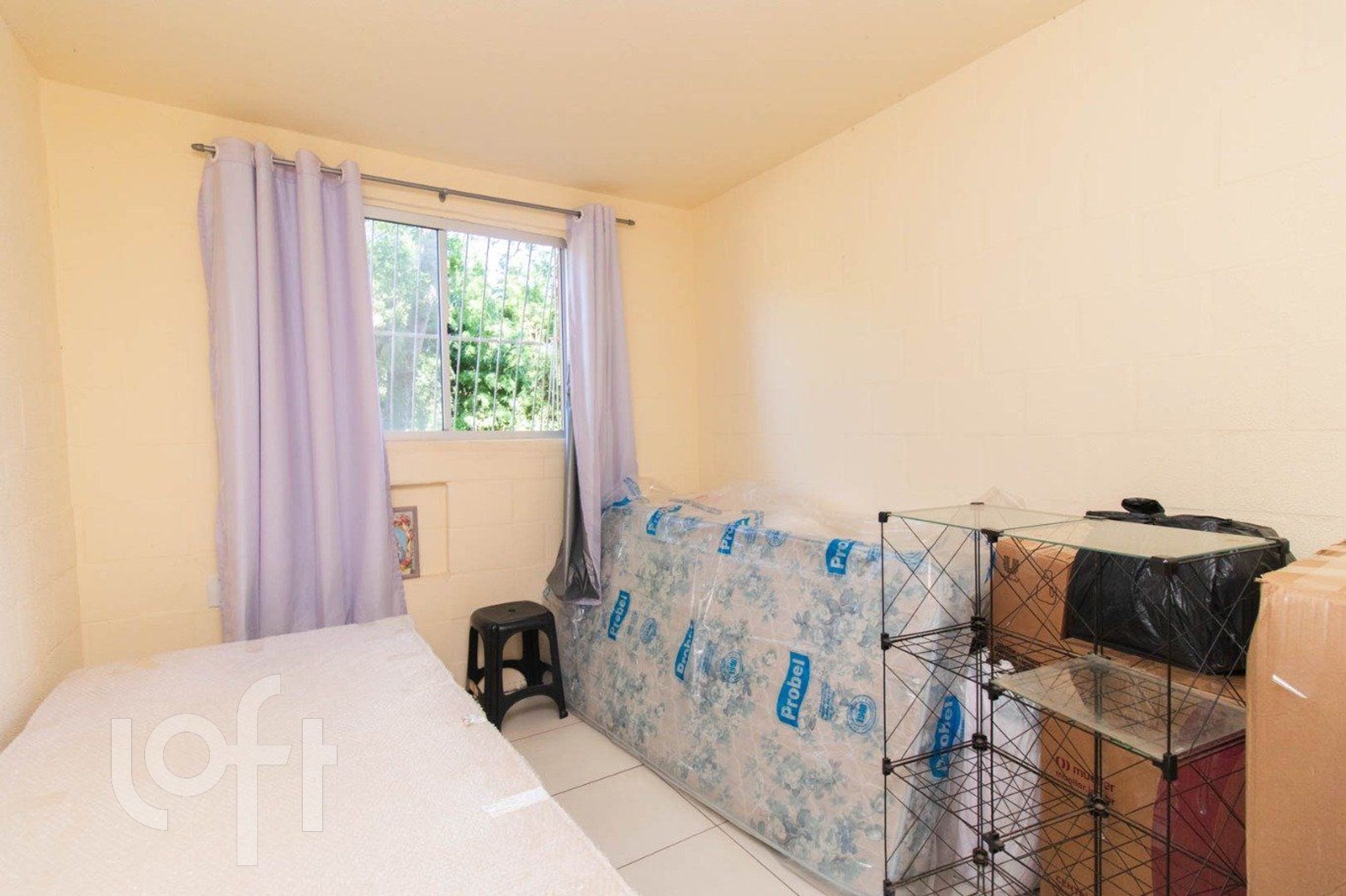 Imagem da propriedade 11