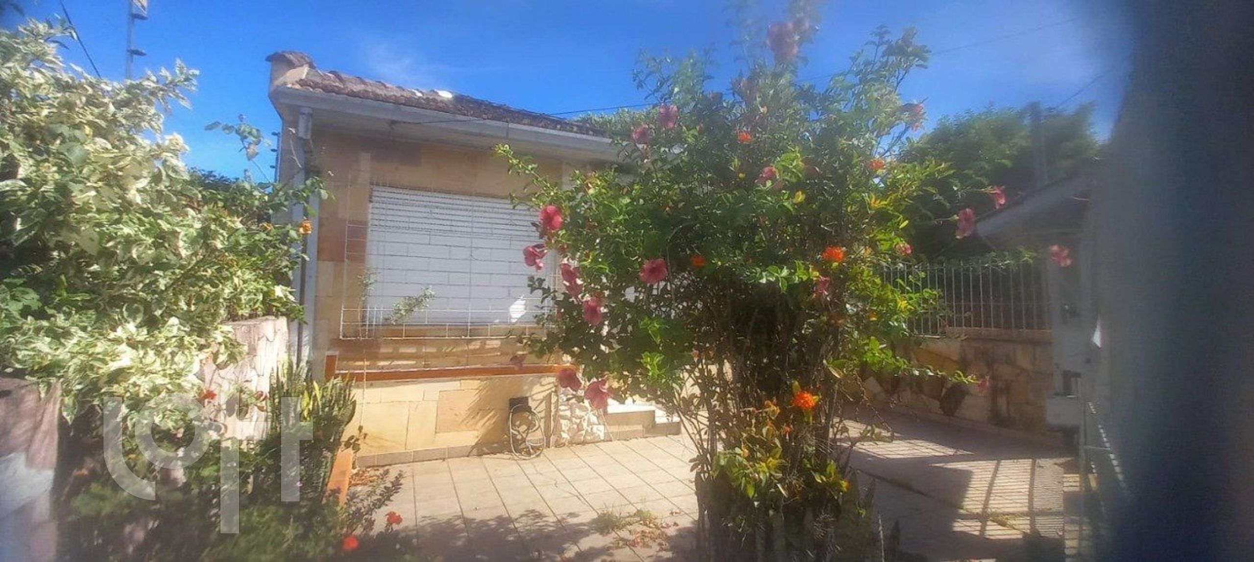 Imagem da propriedade 5