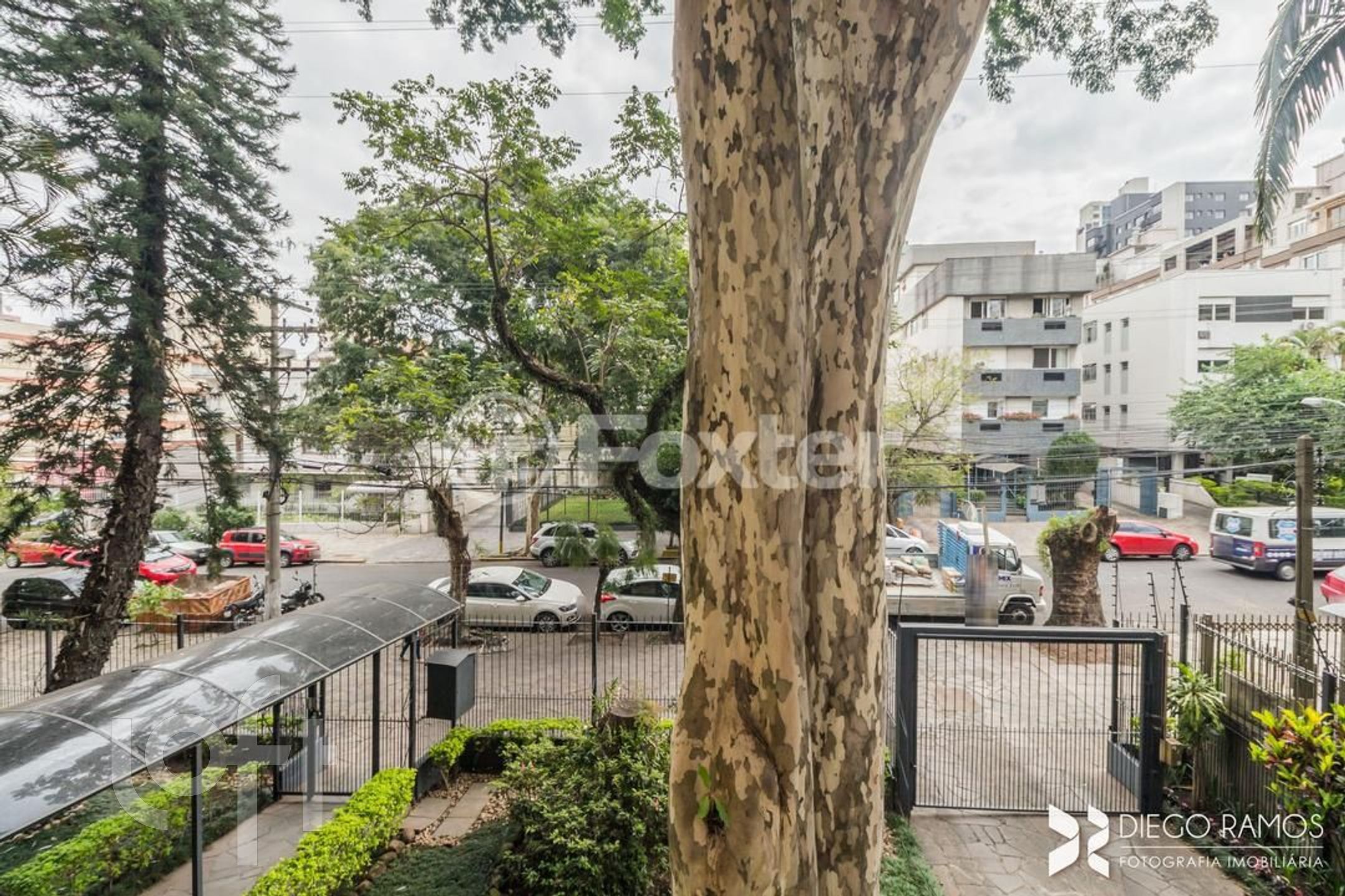 Imagem da propriedade 13