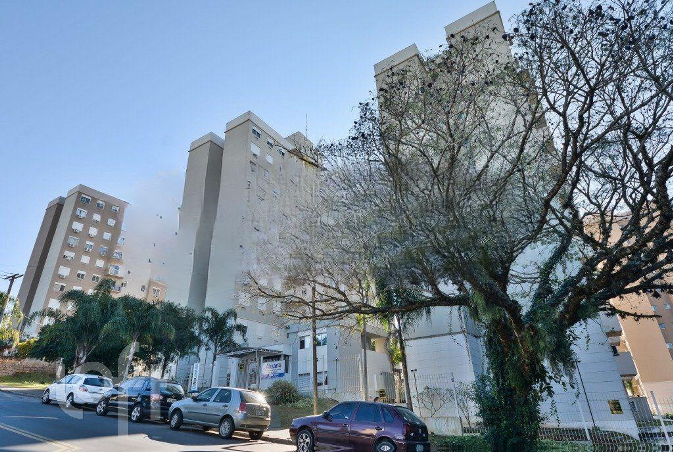 Imagem da propriedade 29