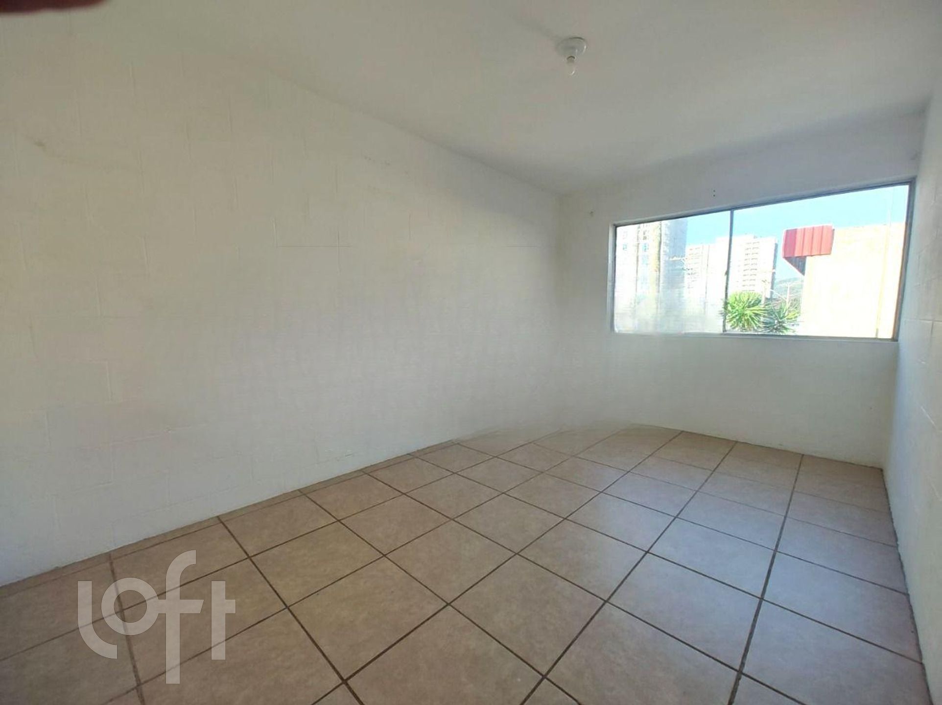 Imagem da propriedade 8