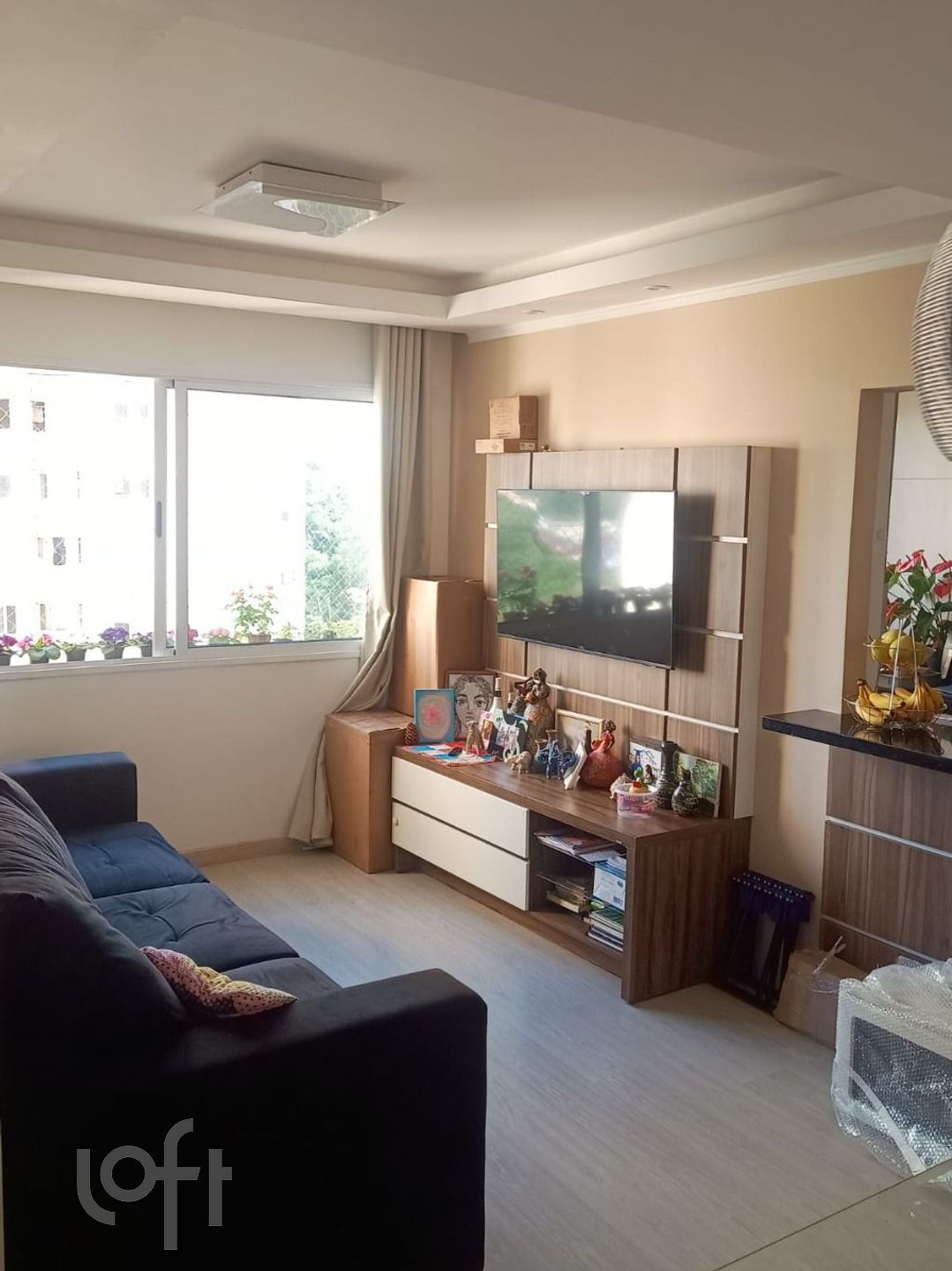 Imagem da propriedade 5