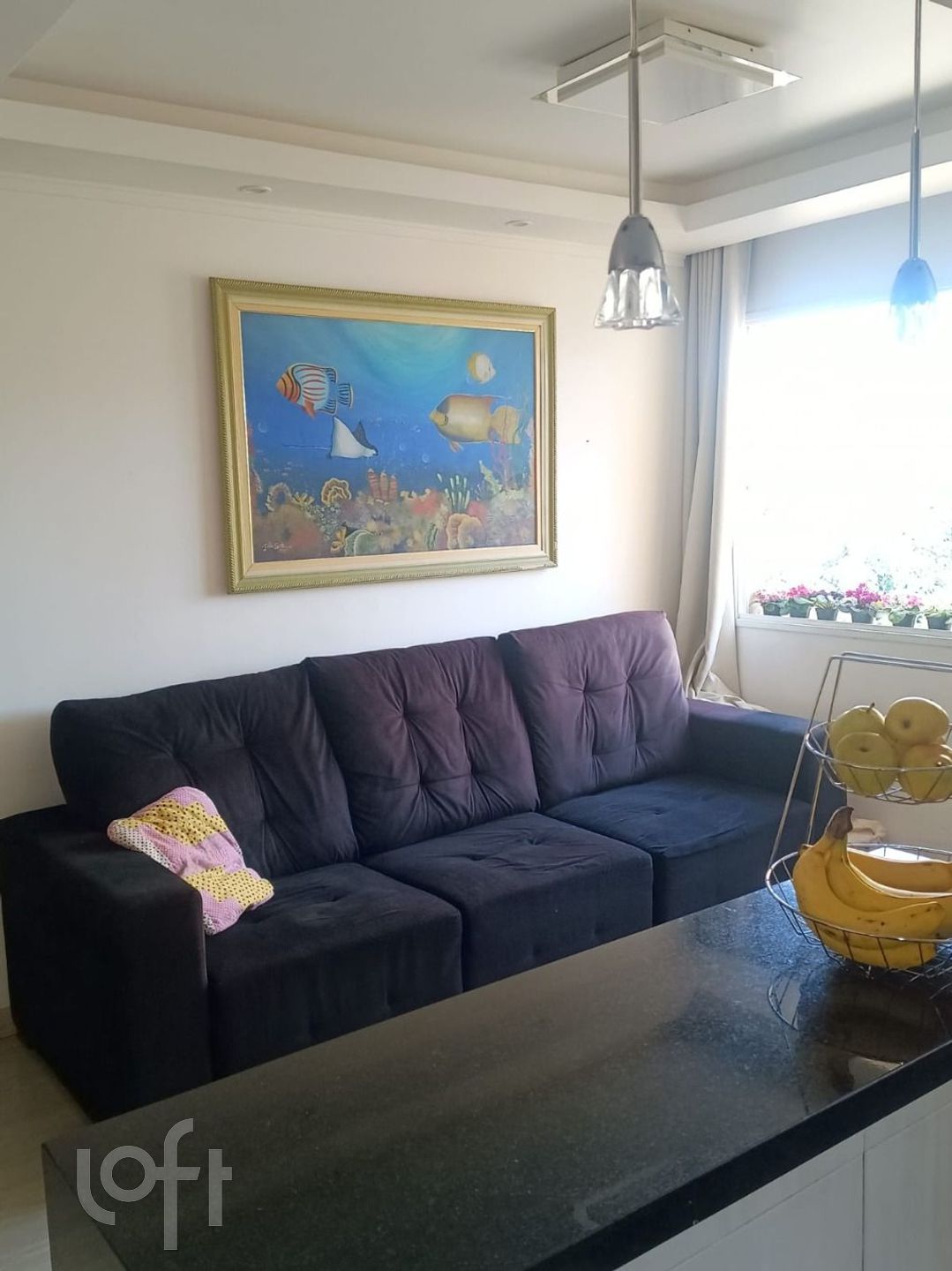 Imagem da propriedade 17