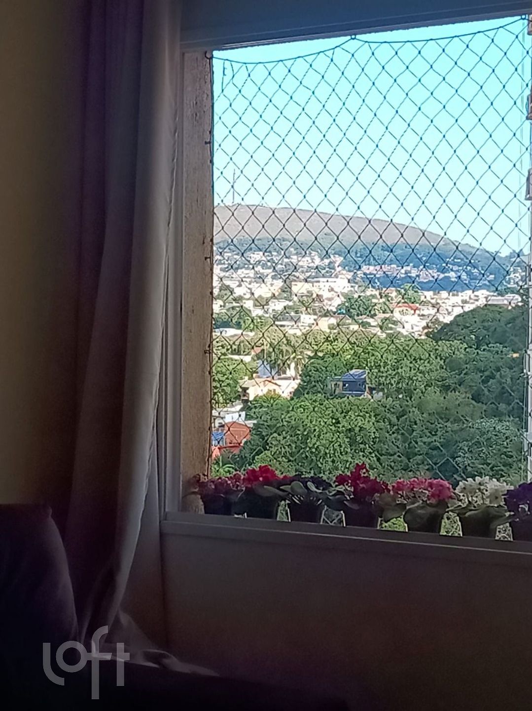 Imagem da propriedade 15