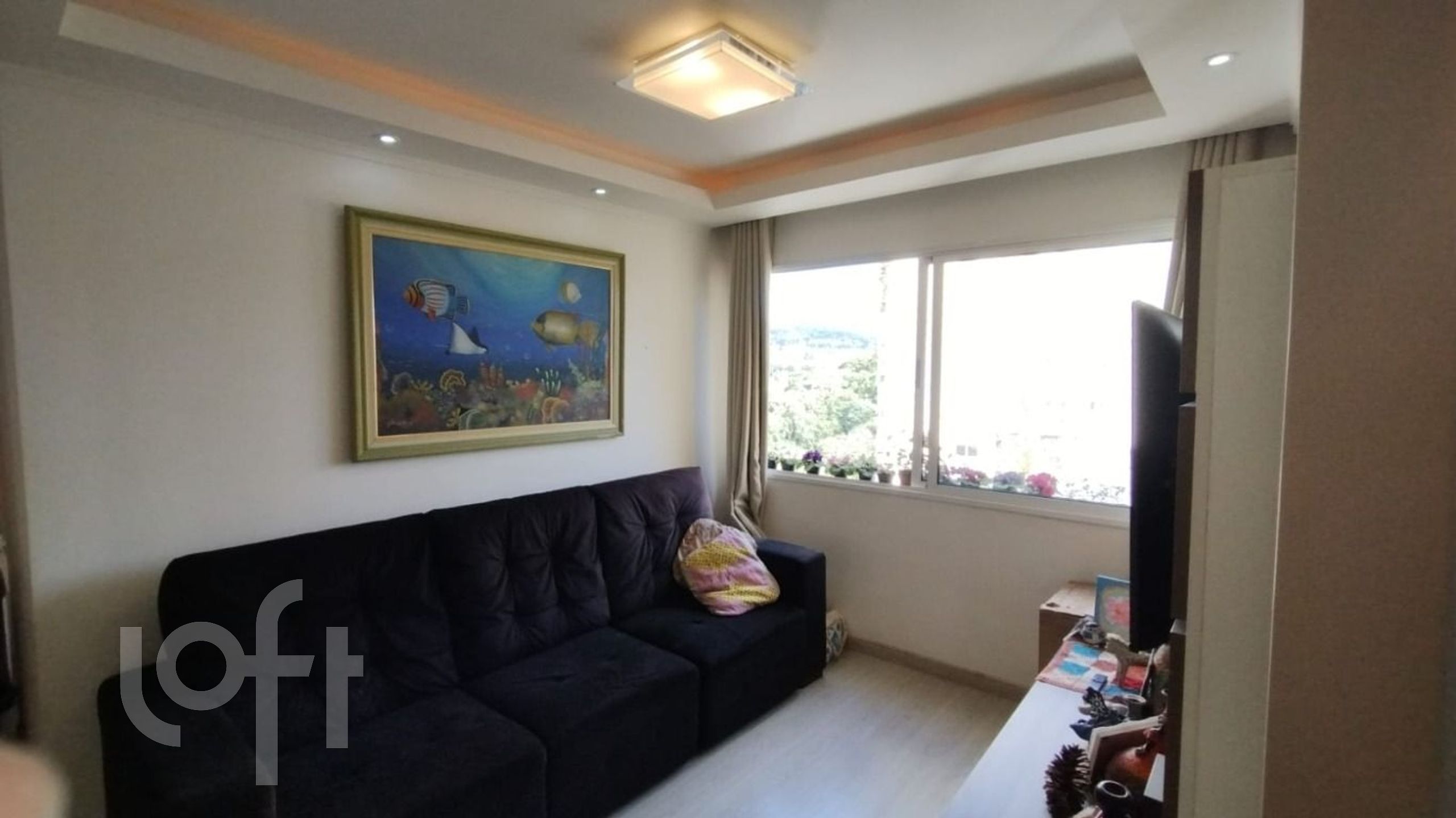 Imagem da propriedade 34