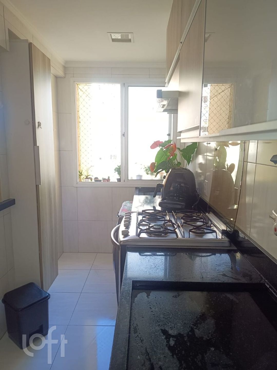 Imagem da propriedade 12