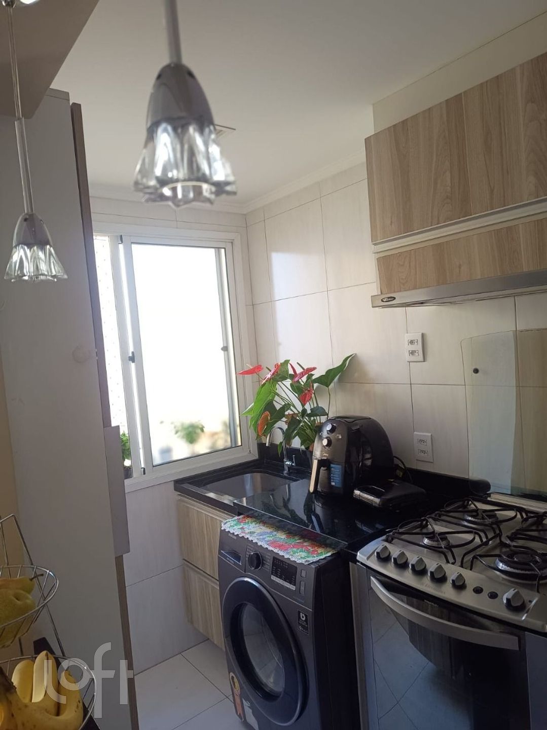 Imagem da propriedade 31