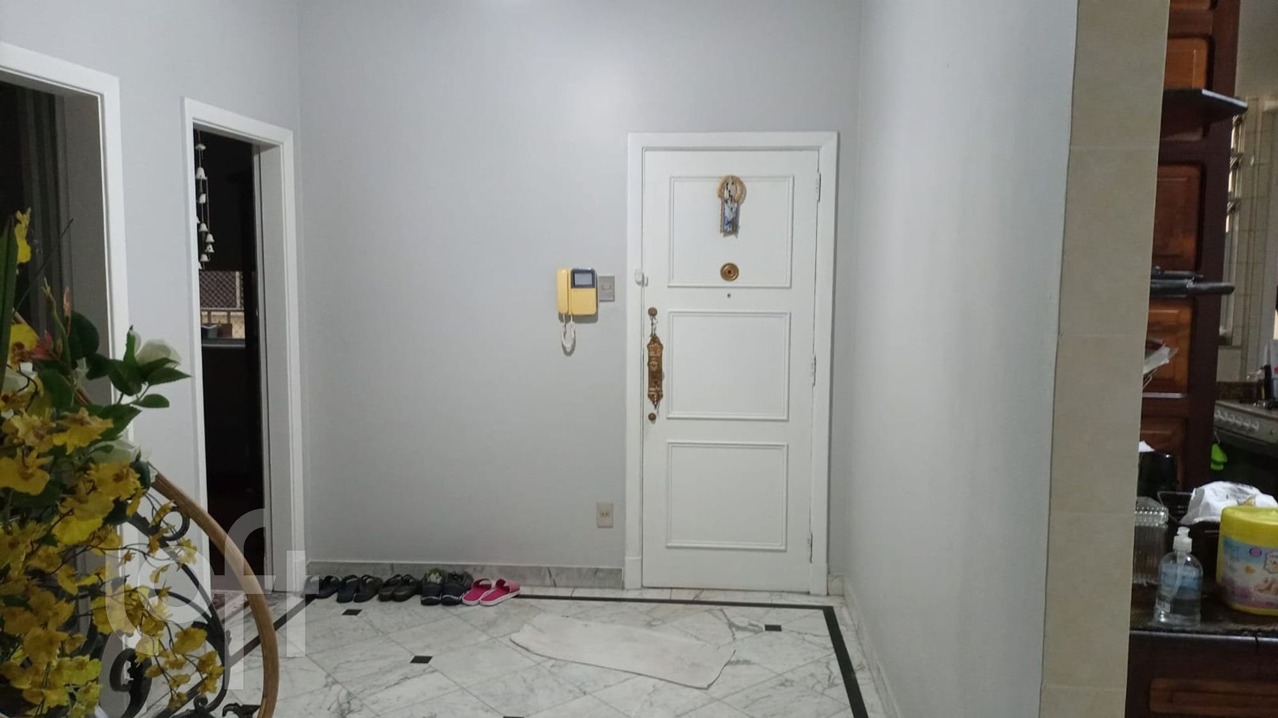 Imagem da propriedade 8