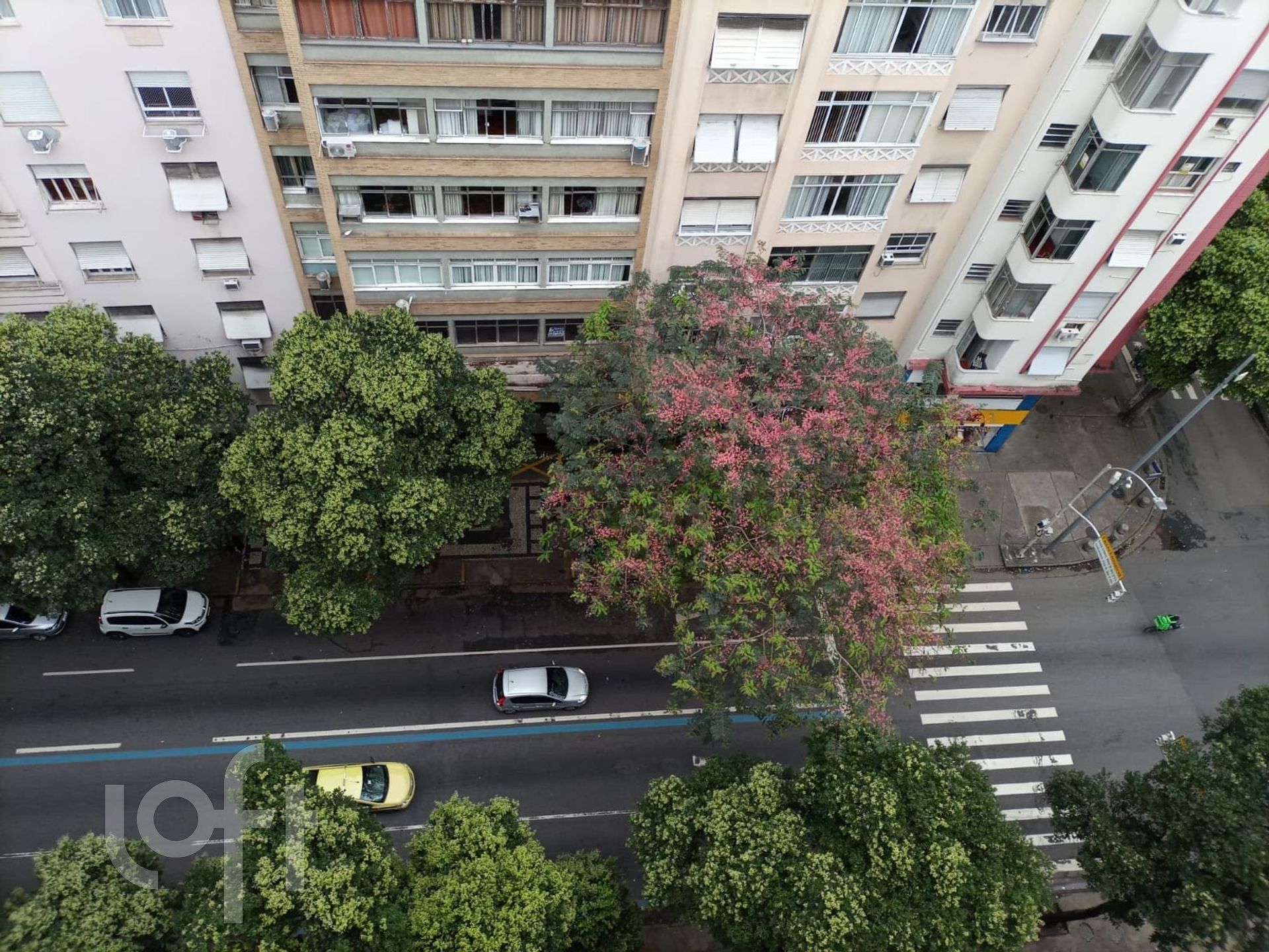 Imagem da propriedade 6