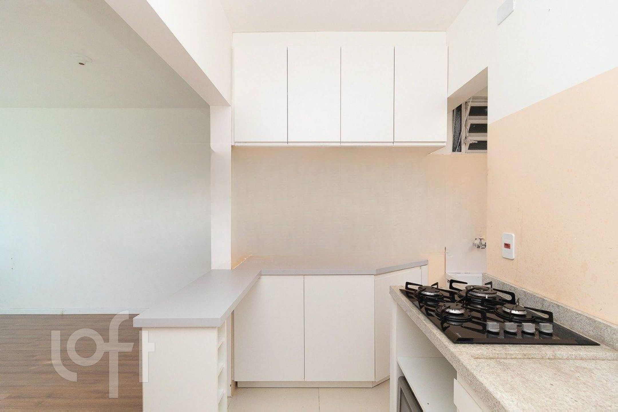 Imagem da propriedade 3