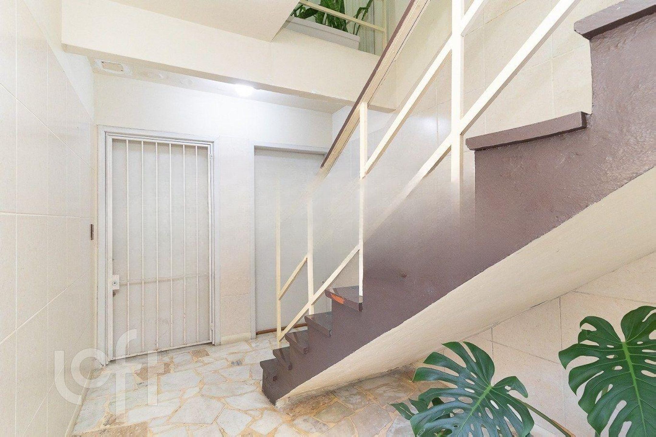 Imagem da propriedade 14