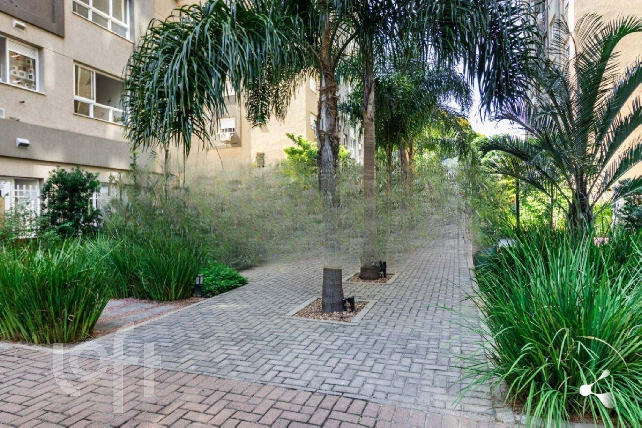 Imagem da propriedade 6