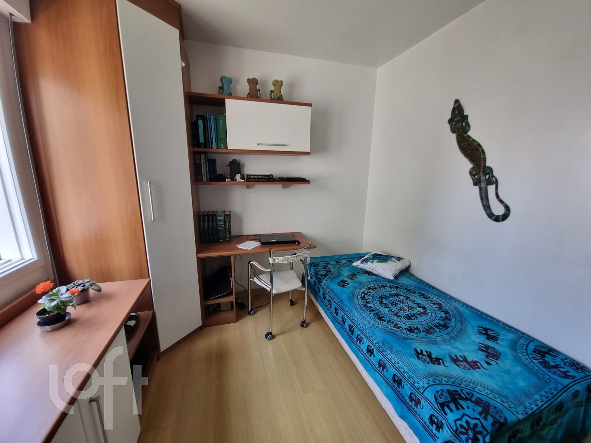 Imagem da propriedade 15