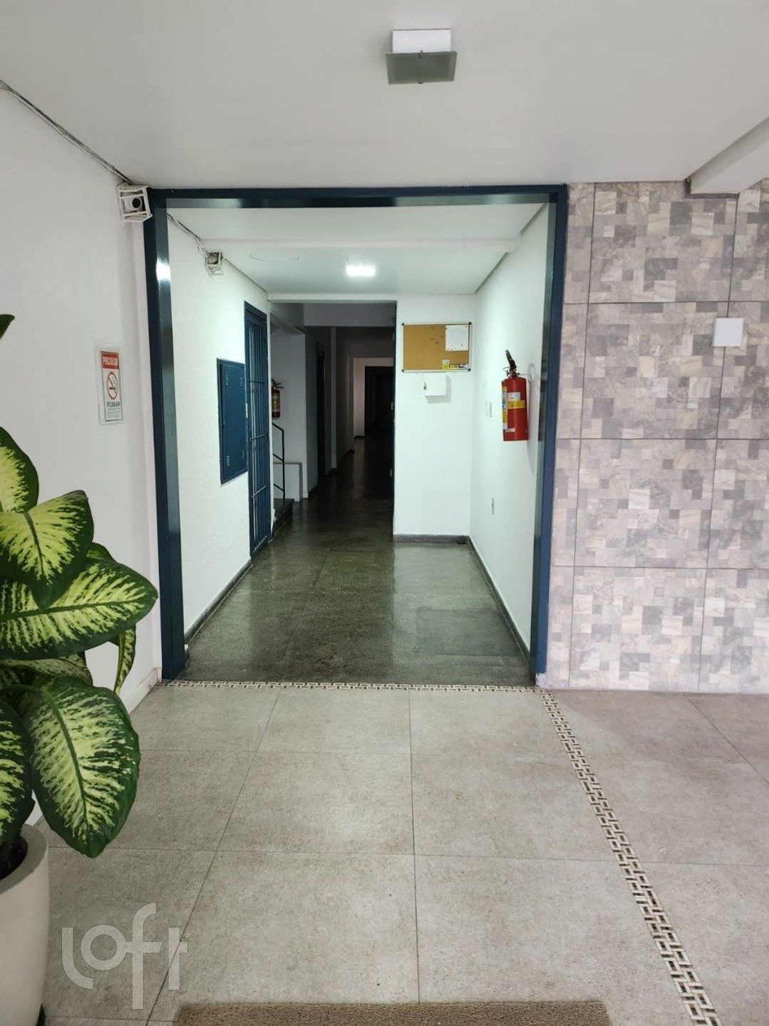 Imagem da propriedade 11