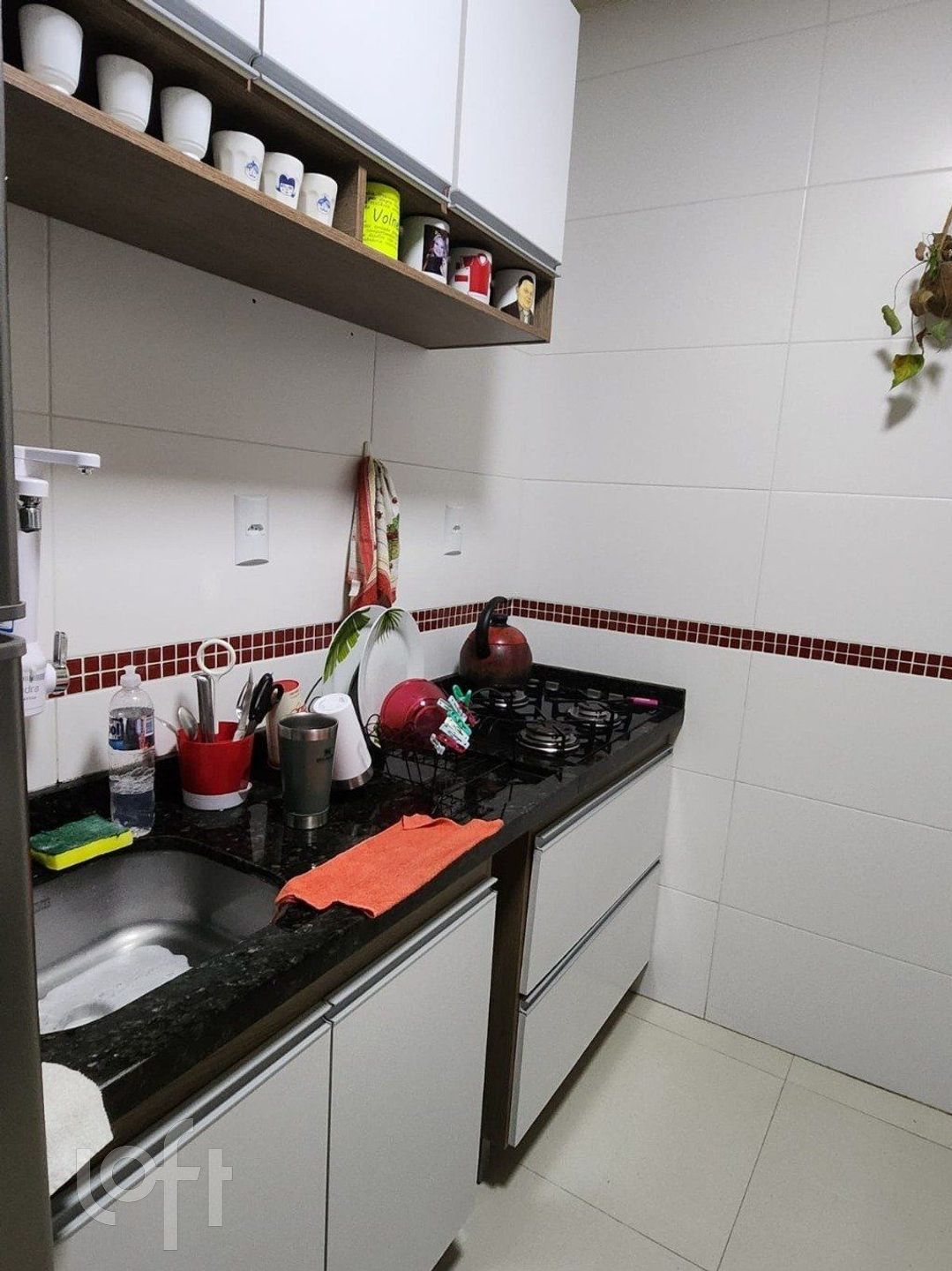 Imagem da propriedade 7