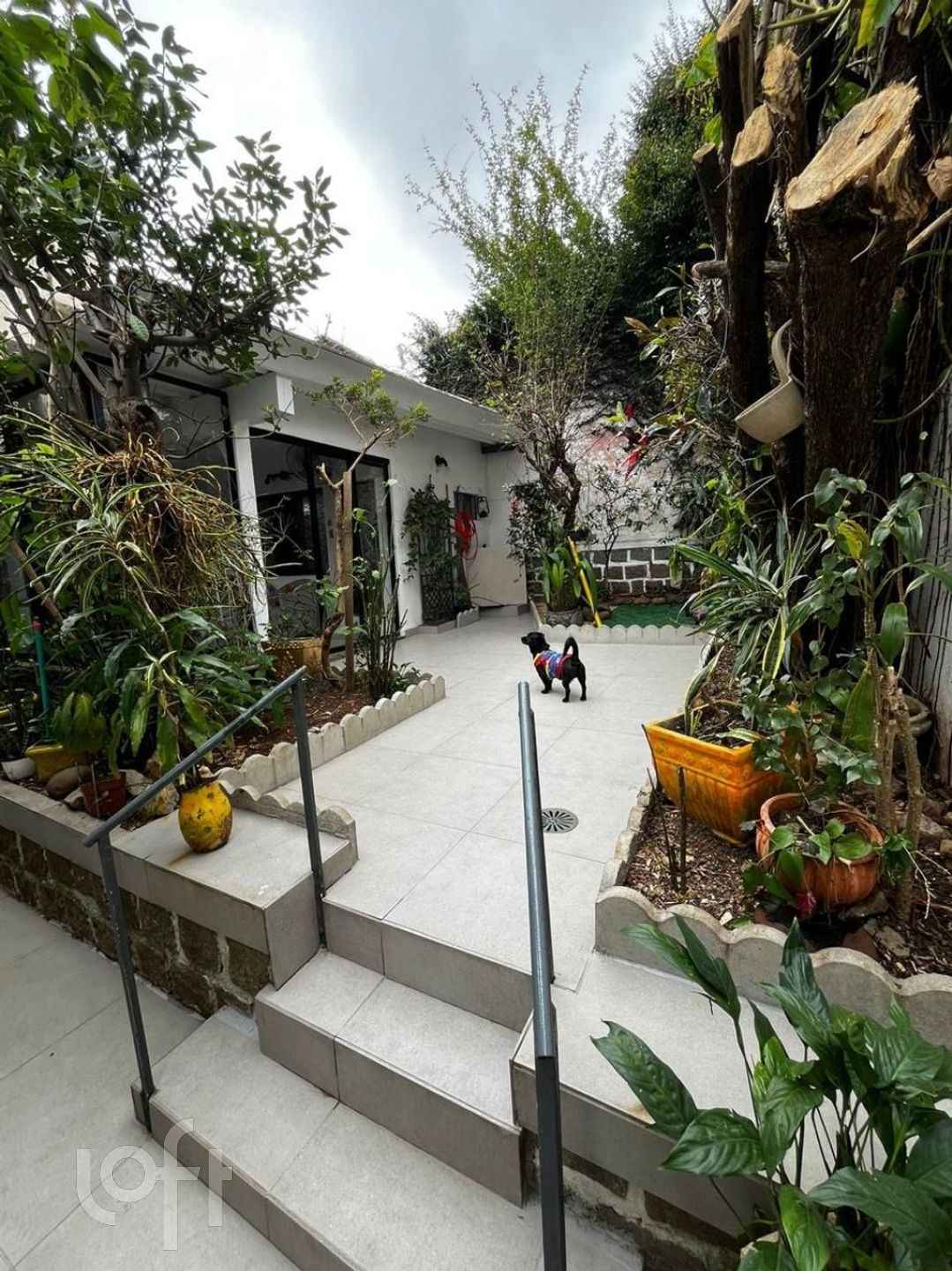 Imagem da propriedade 10