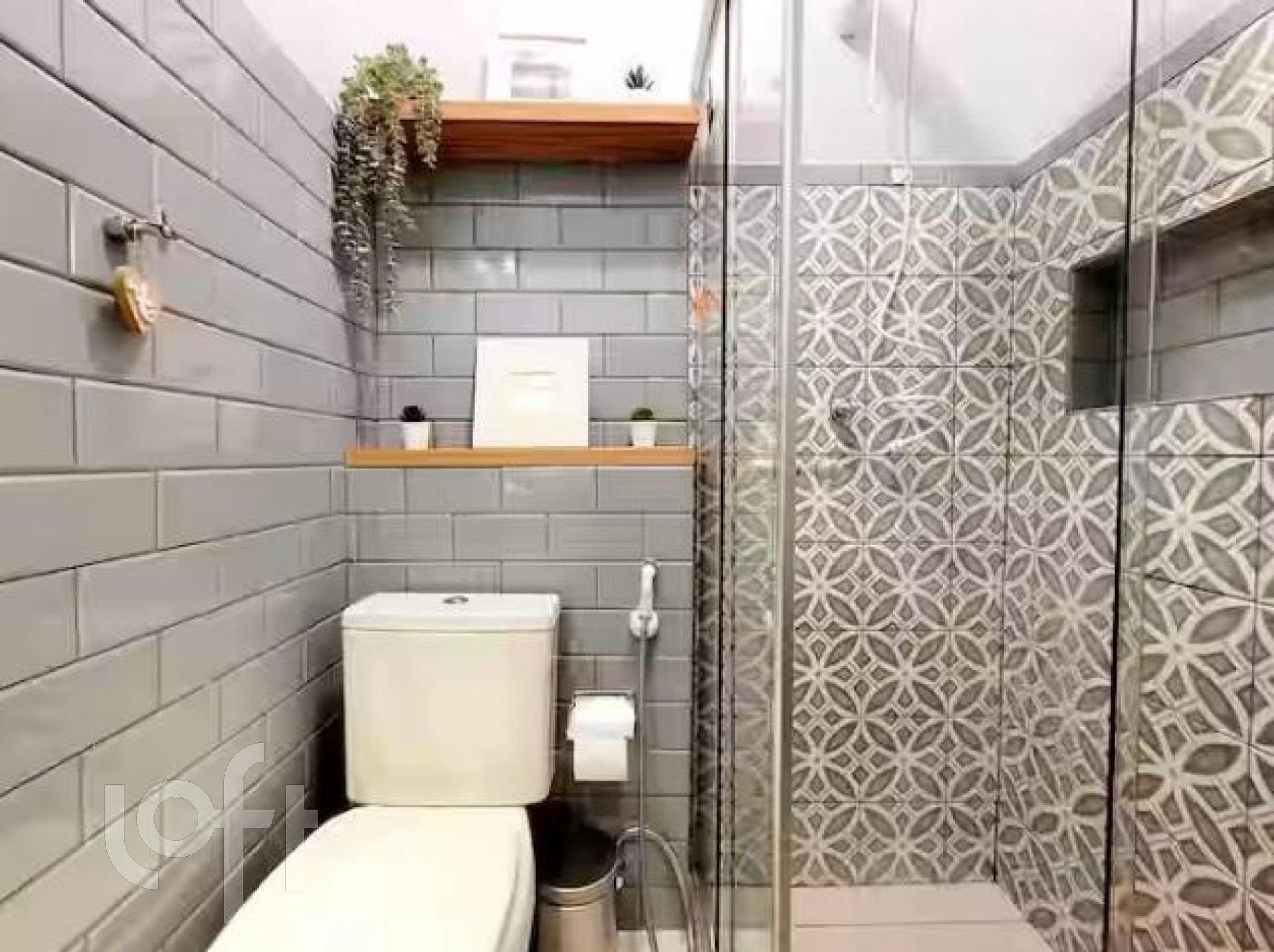 Imagem da propriedade 5