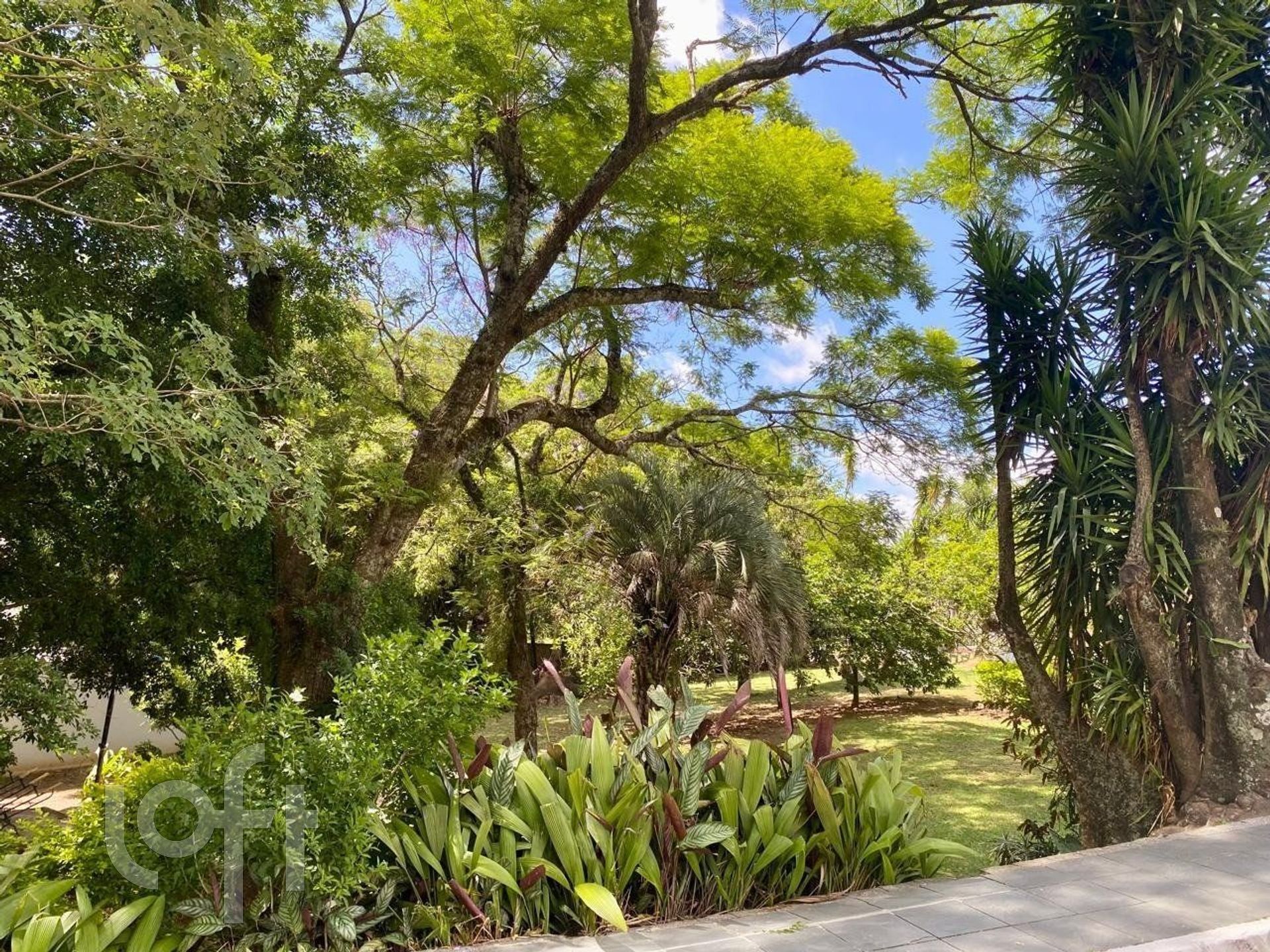 Imagem da propriedade 25