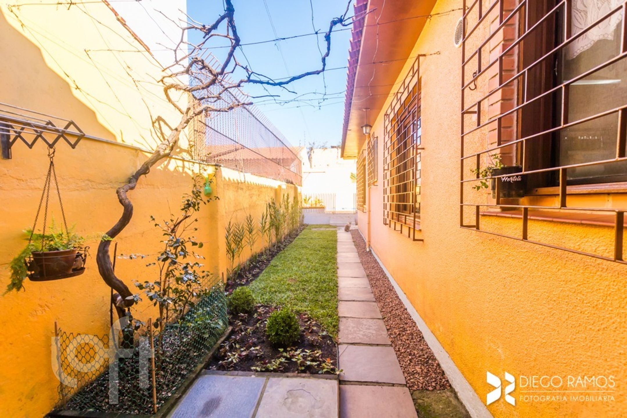 Imagem da propriedade 12