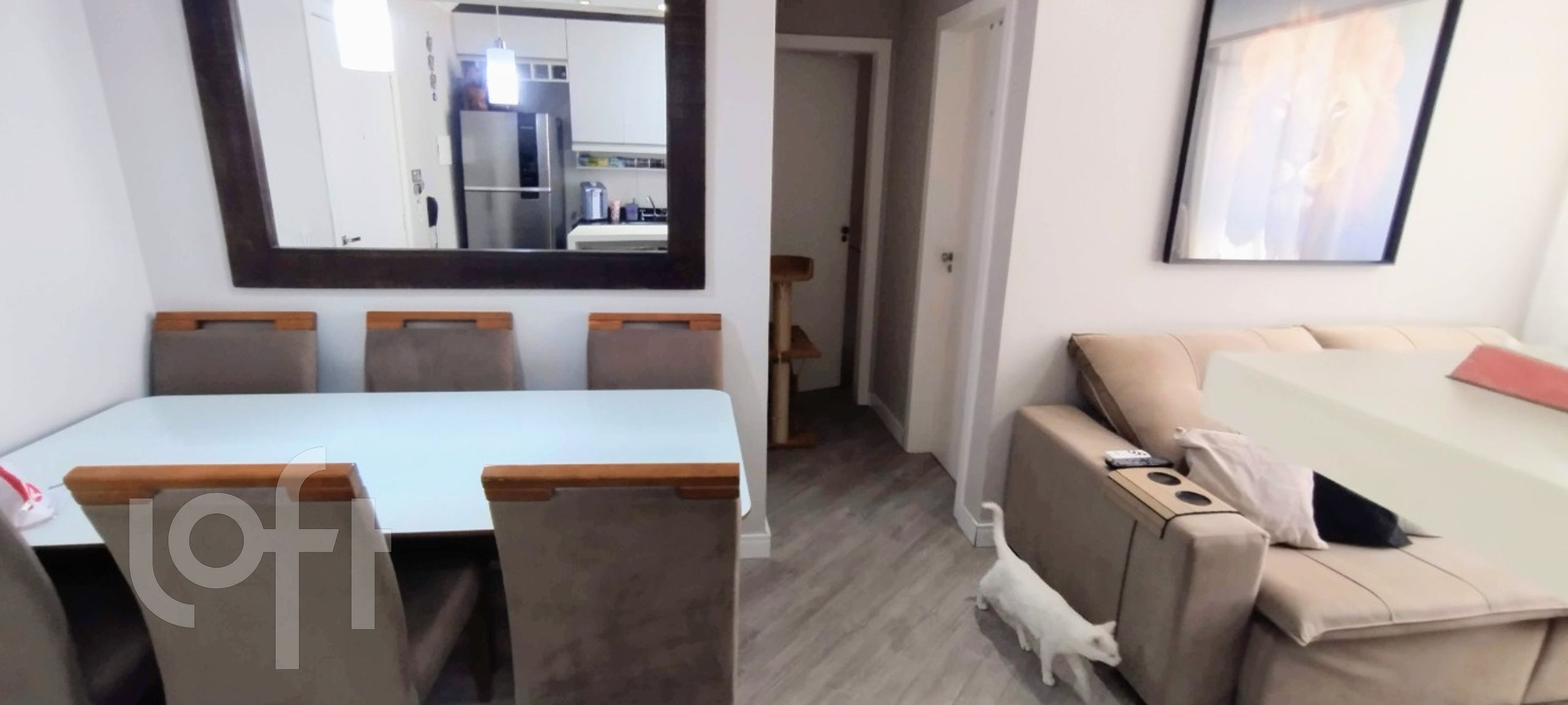 Imagem da propriedade 6