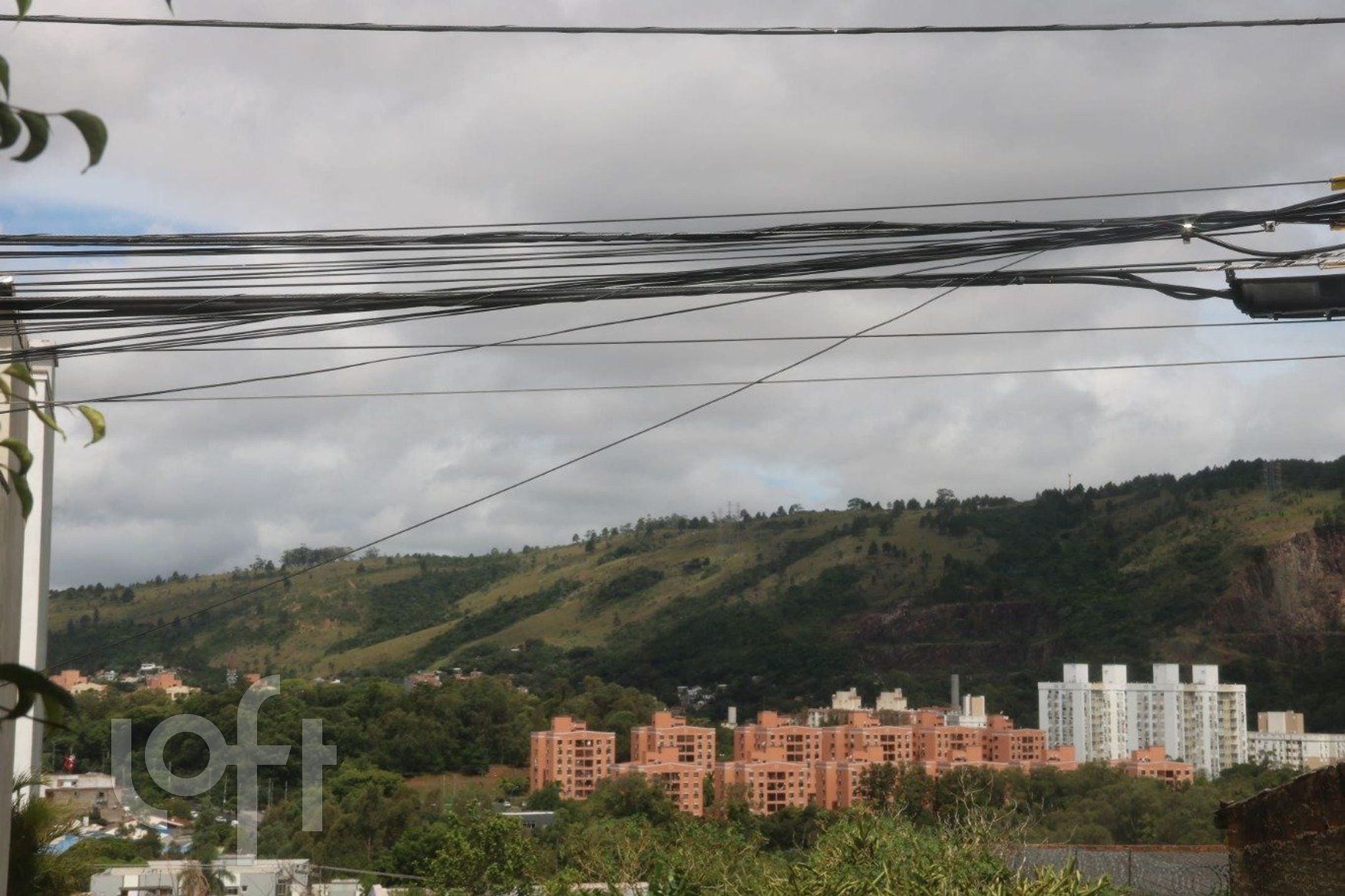 Imagem da propriedade 28