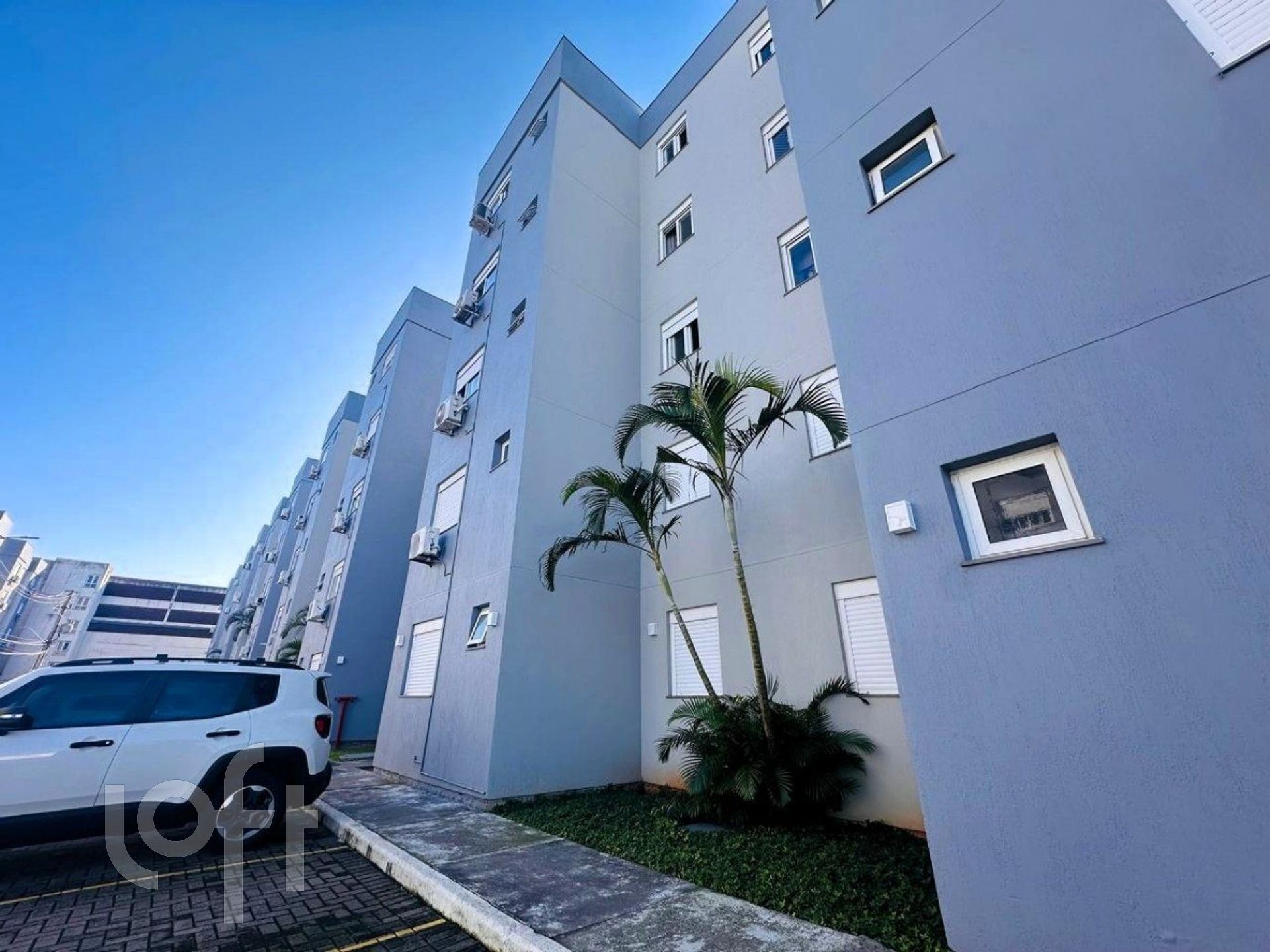 Imagem da propriedade 17