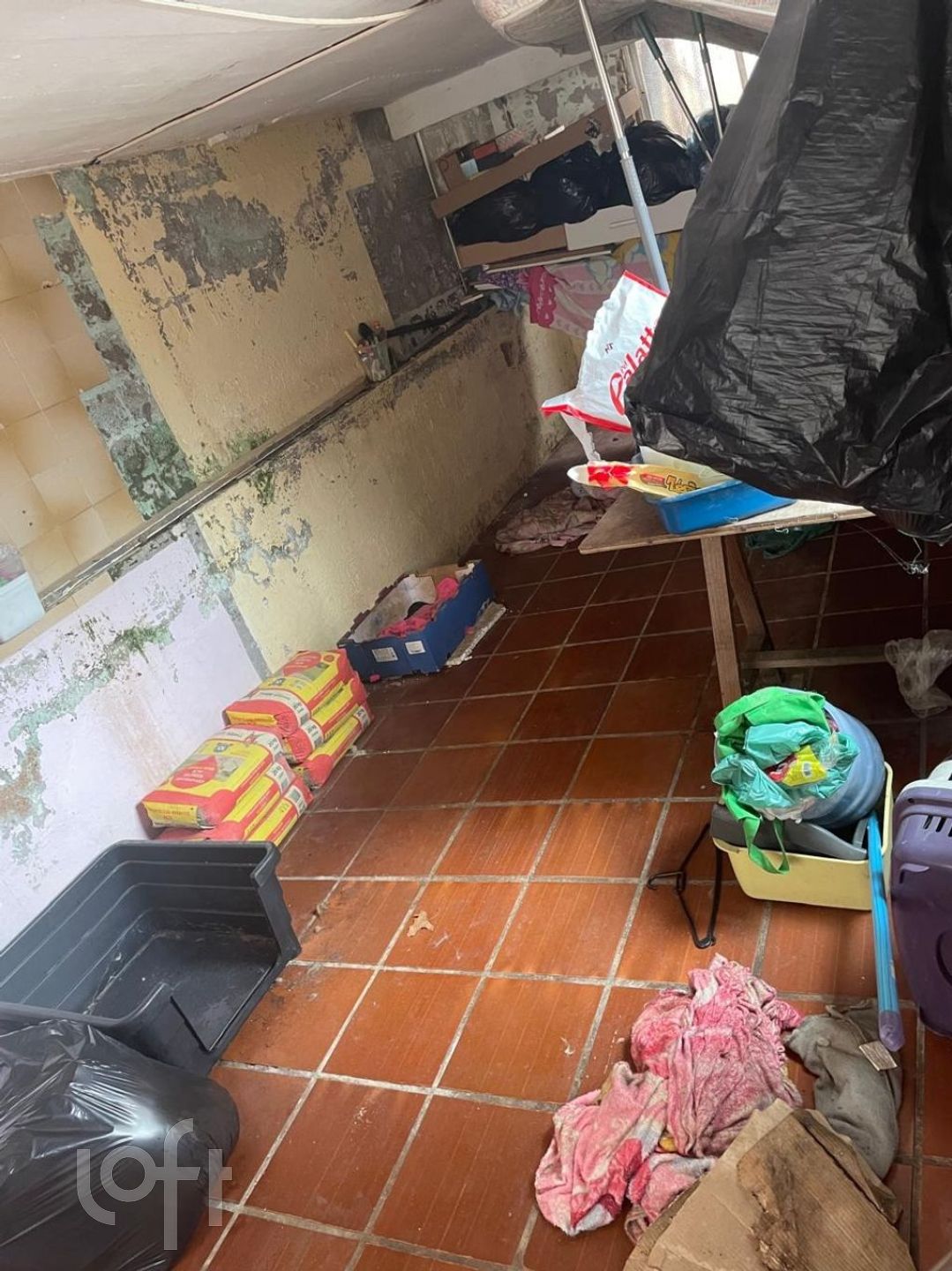 Imagem da propriedade 36