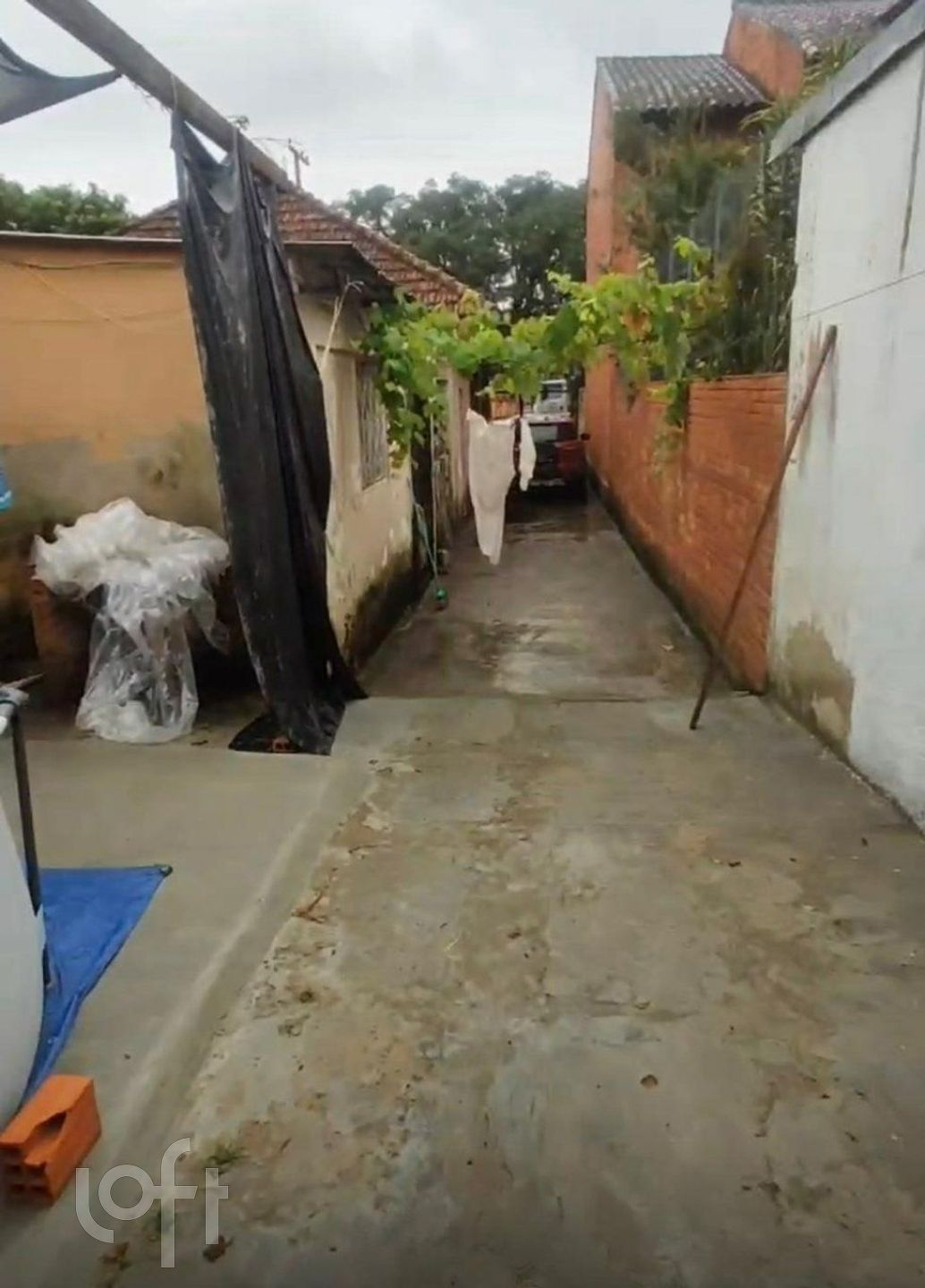 Imagem da propriedade 16