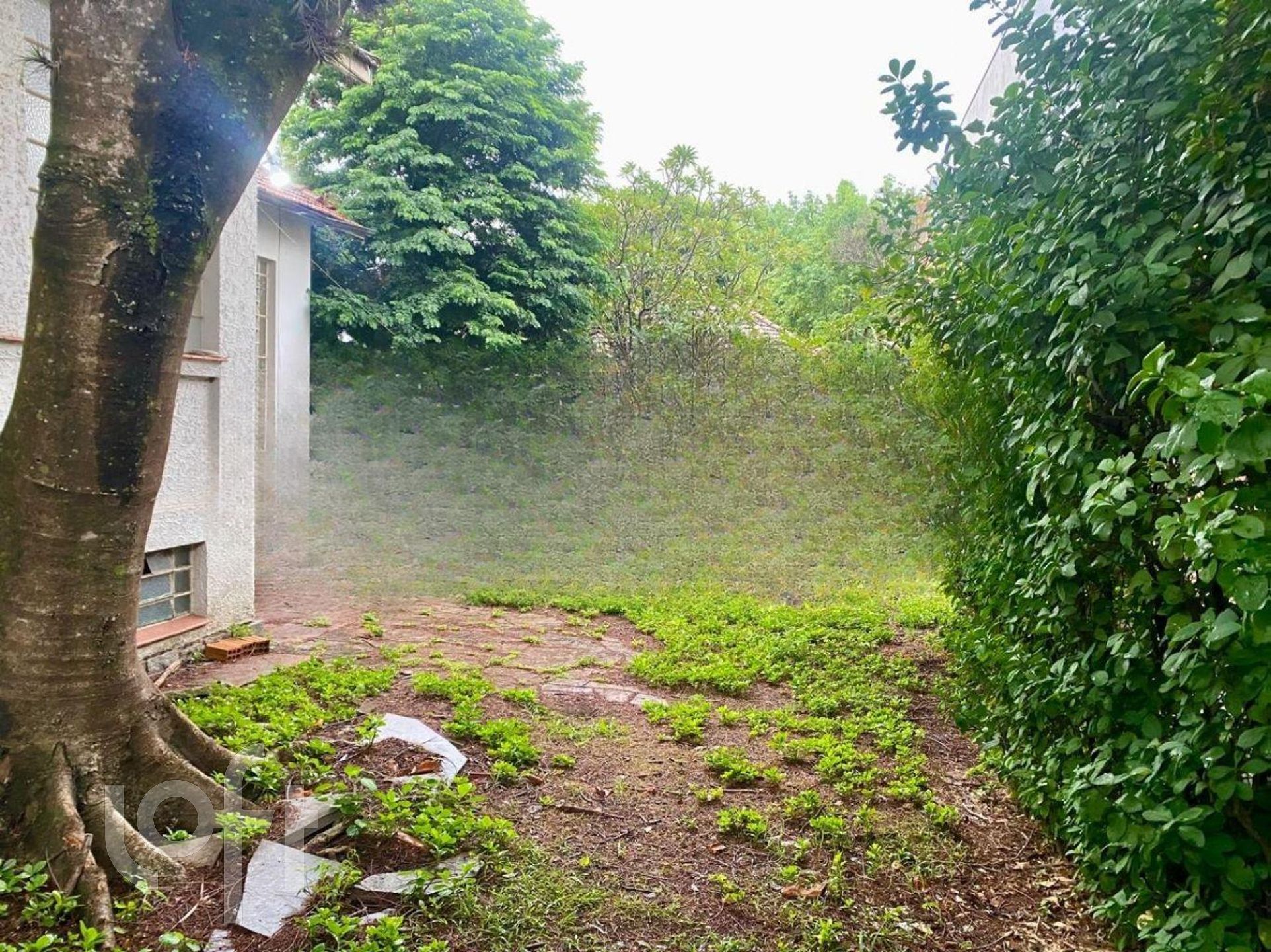 Imagem da propriedade 5