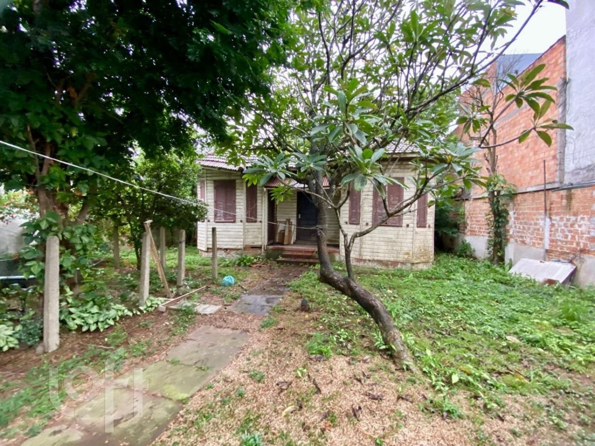 Imagem da propriedade 6