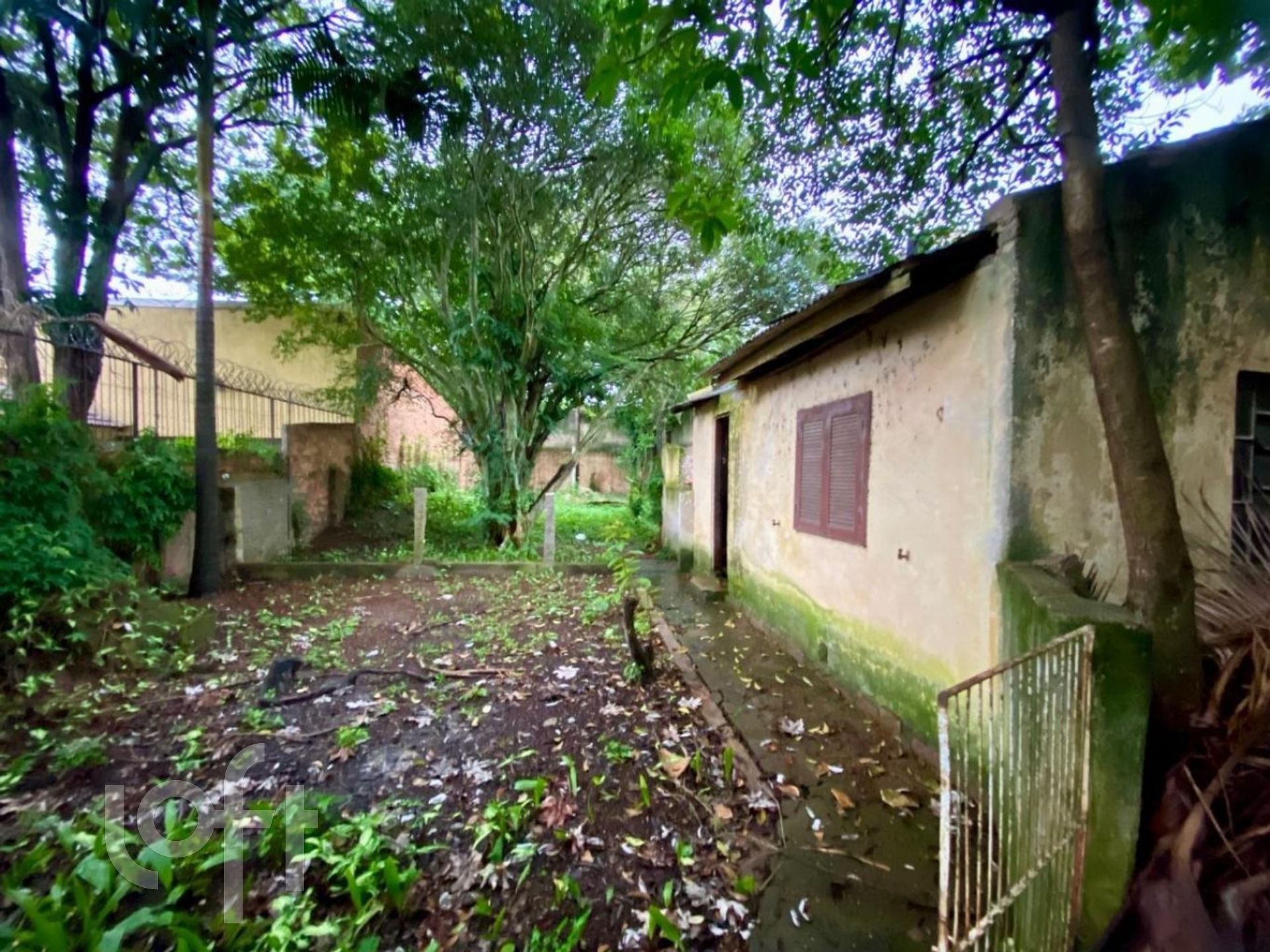 Imagem da propriedade 7