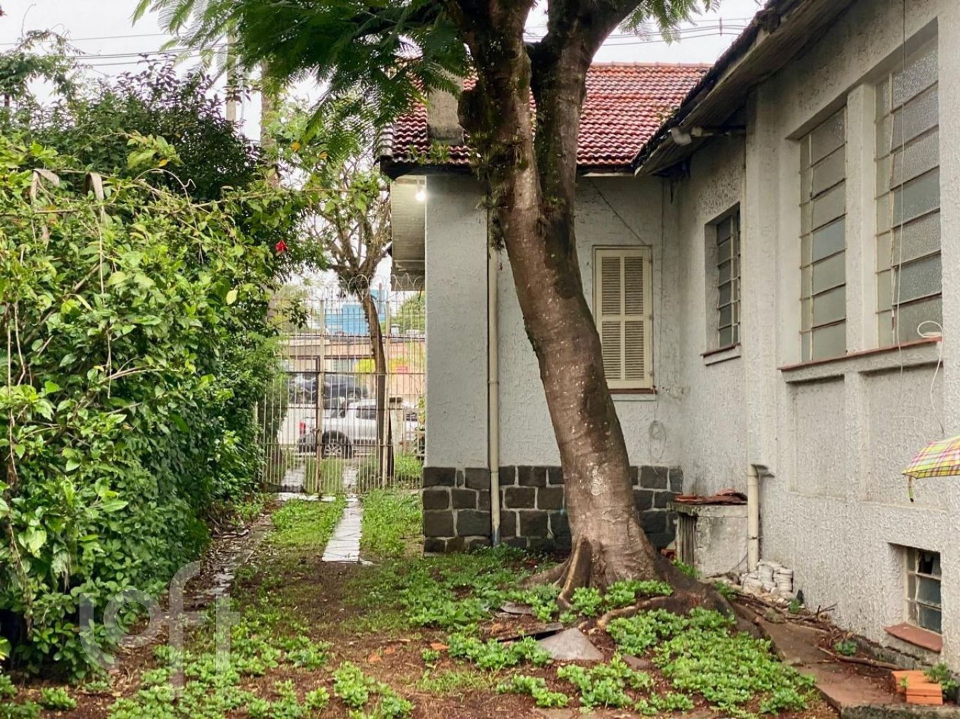 Imagem da propriedade 3