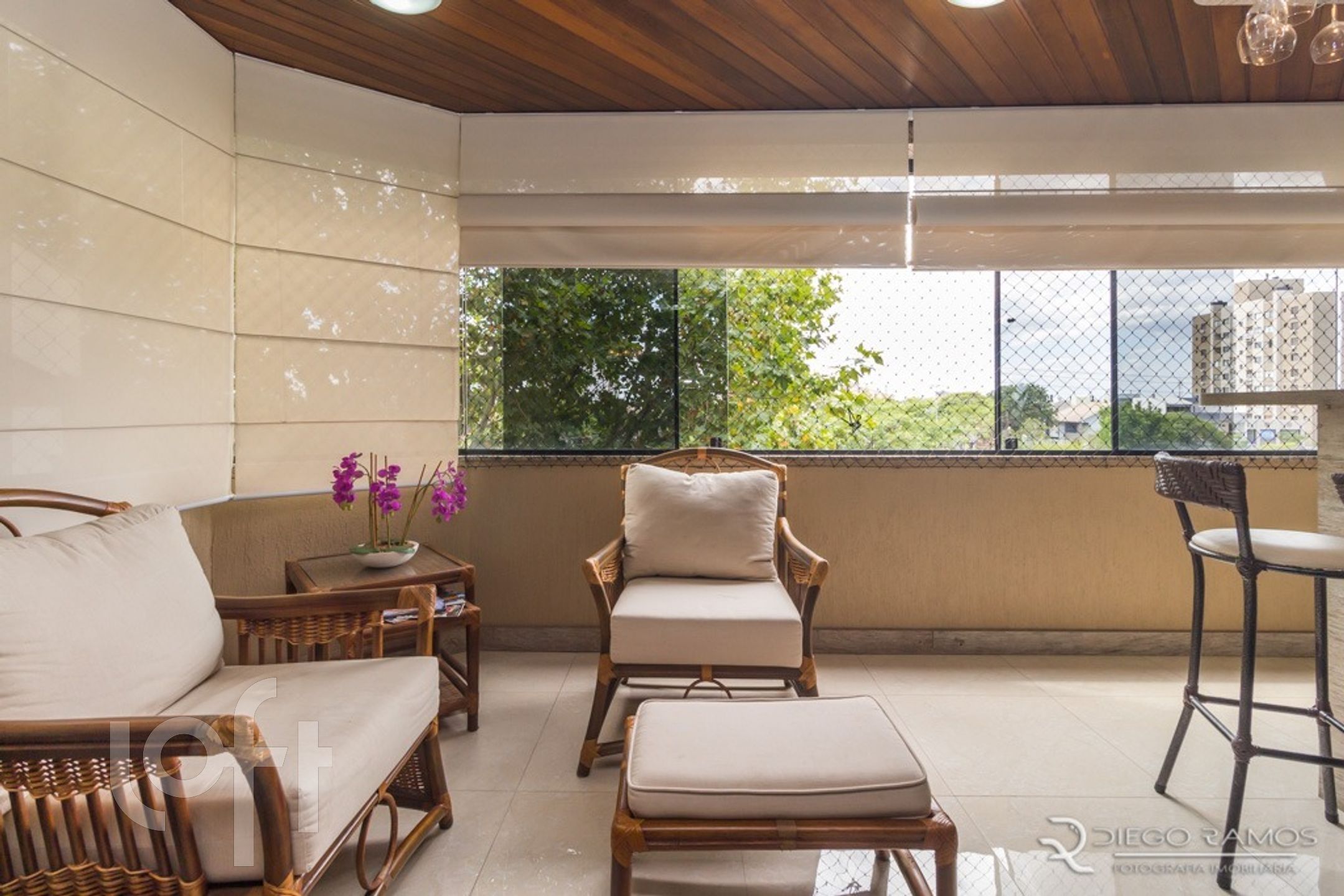 Imagem da propriedade 5