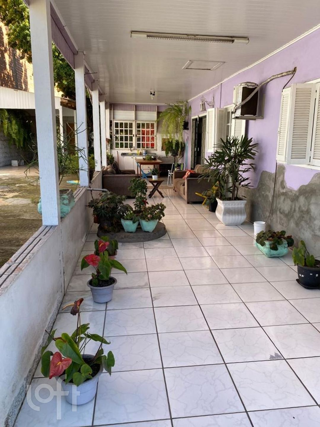 Imagem da propriedade 3