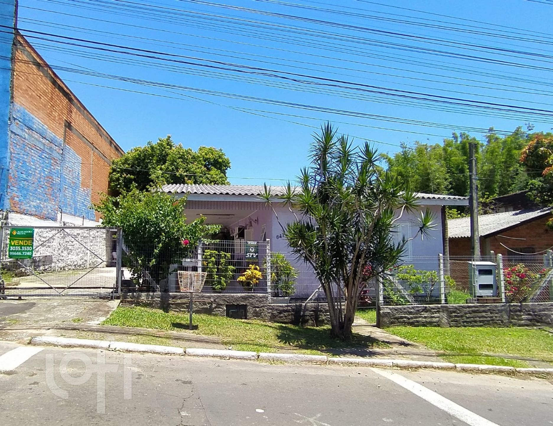 Imagem da propriedade 4