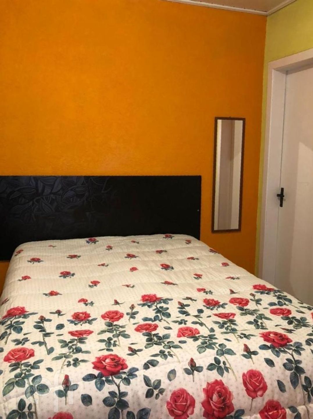 Imagem da propriedade 13