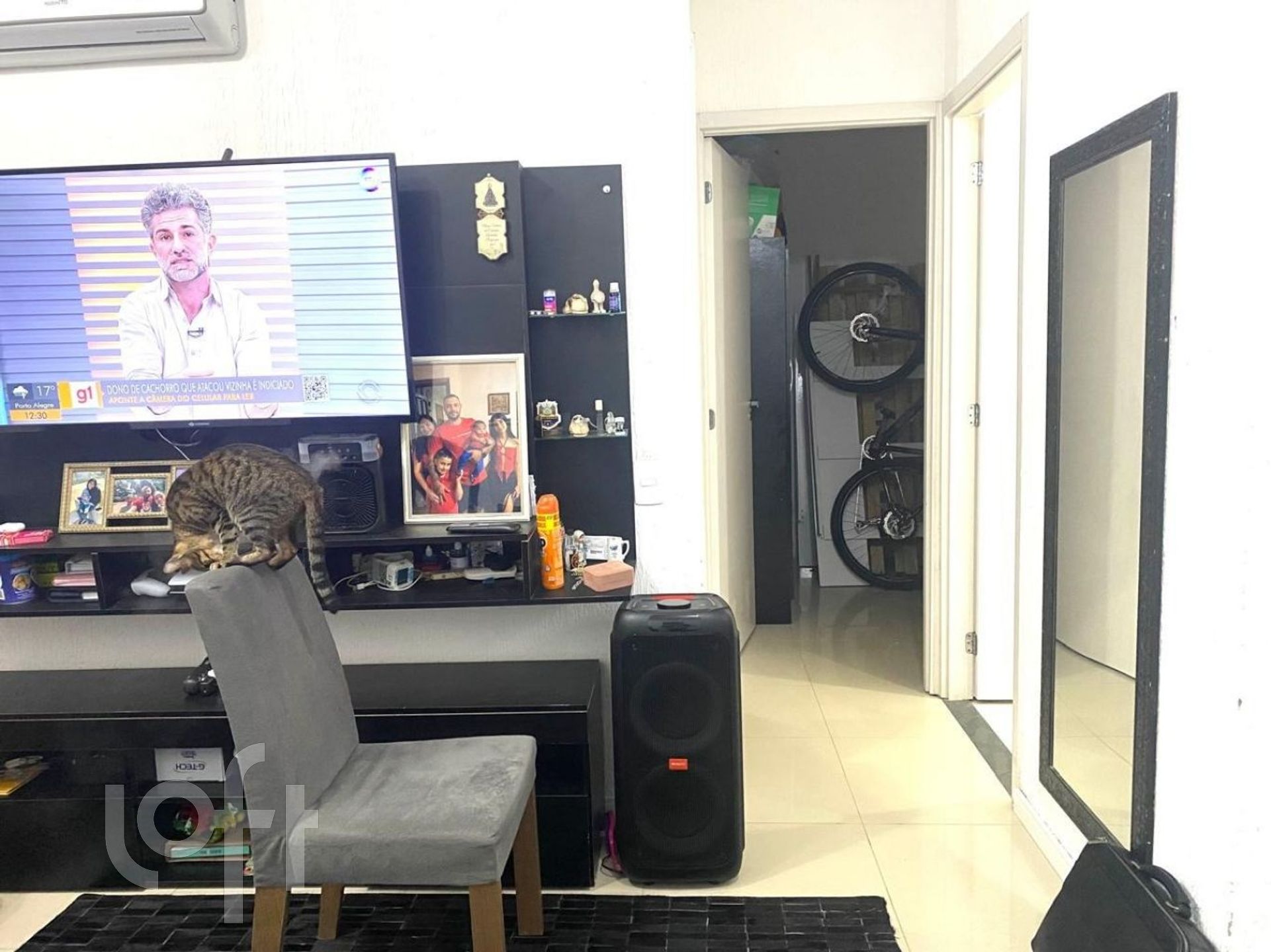 Imagem da propriedade 11