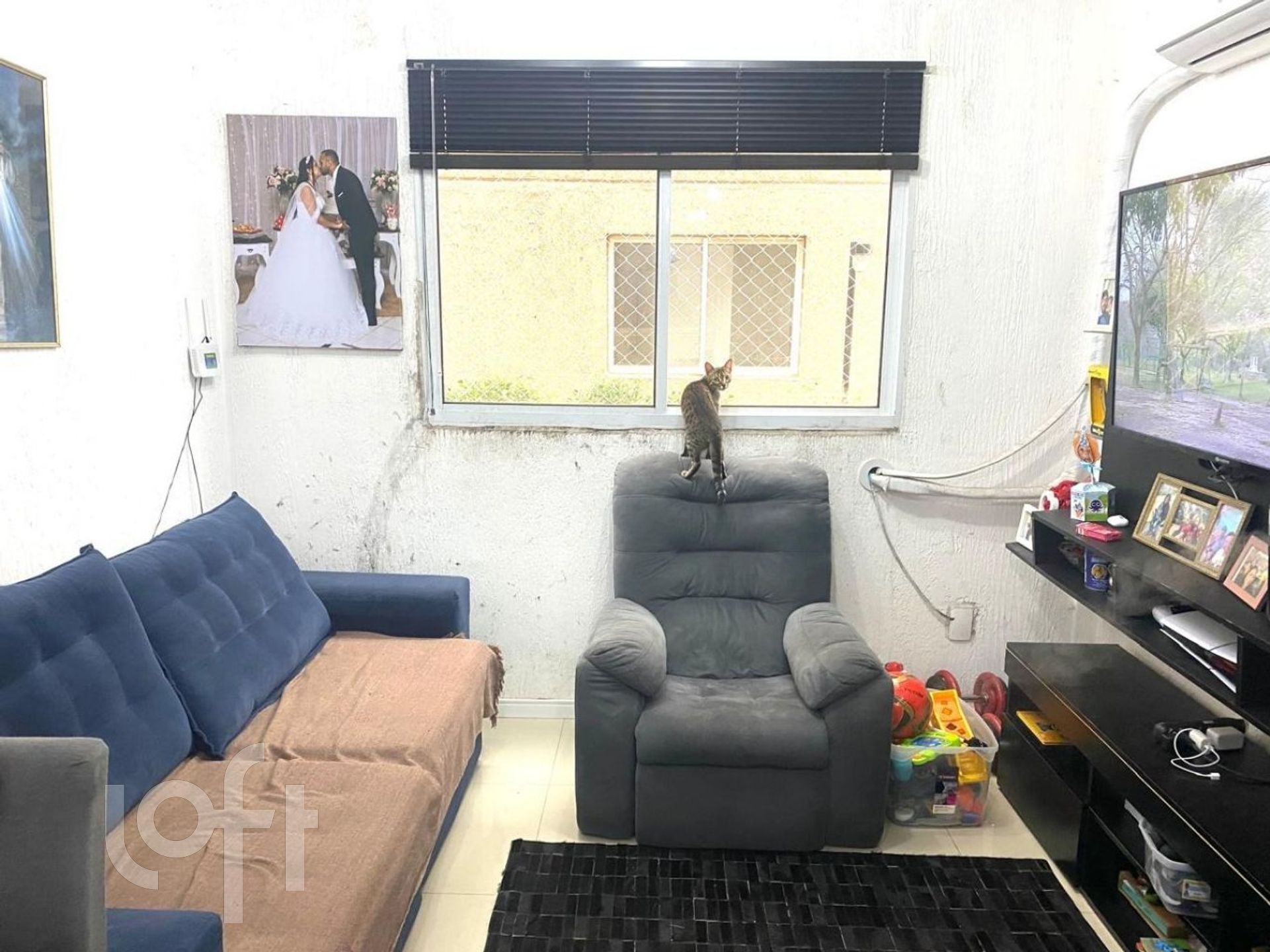 Imagem da propriedade 10