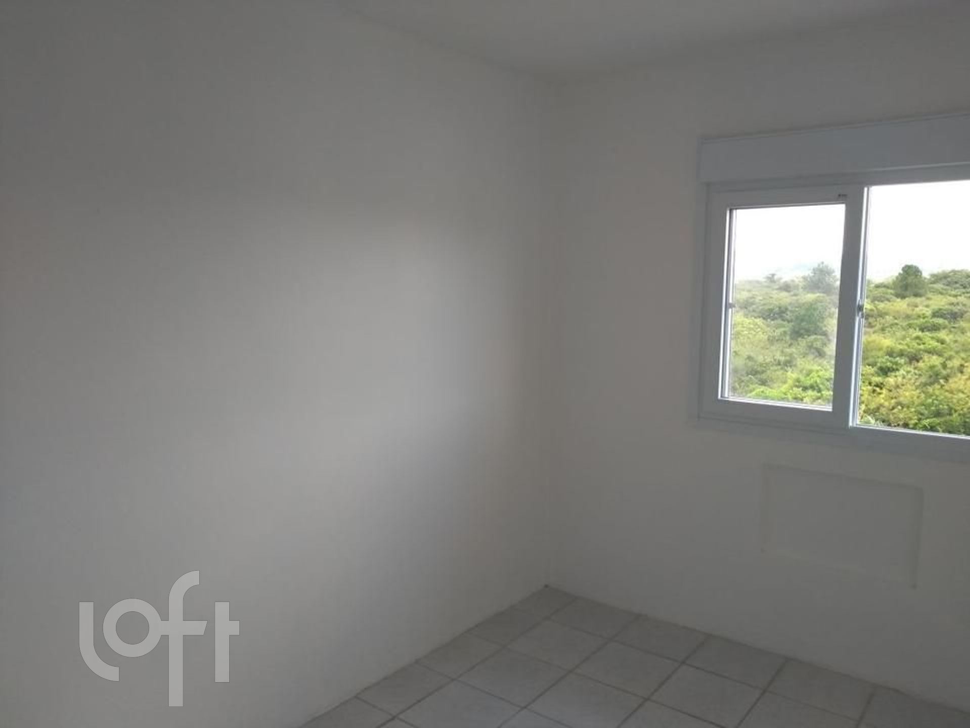 Imagem da propriedade 4