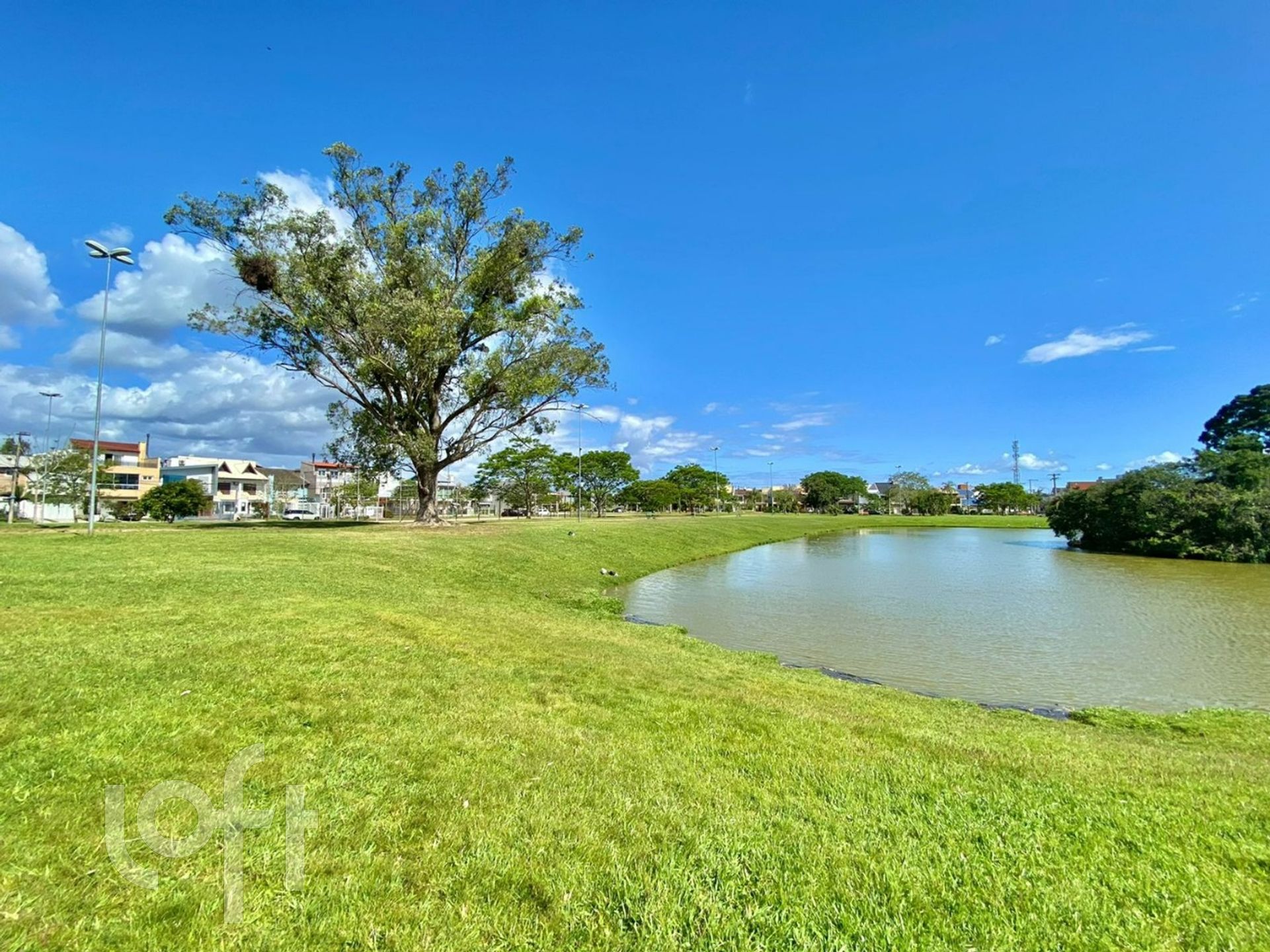 Imagem da propriedade 19